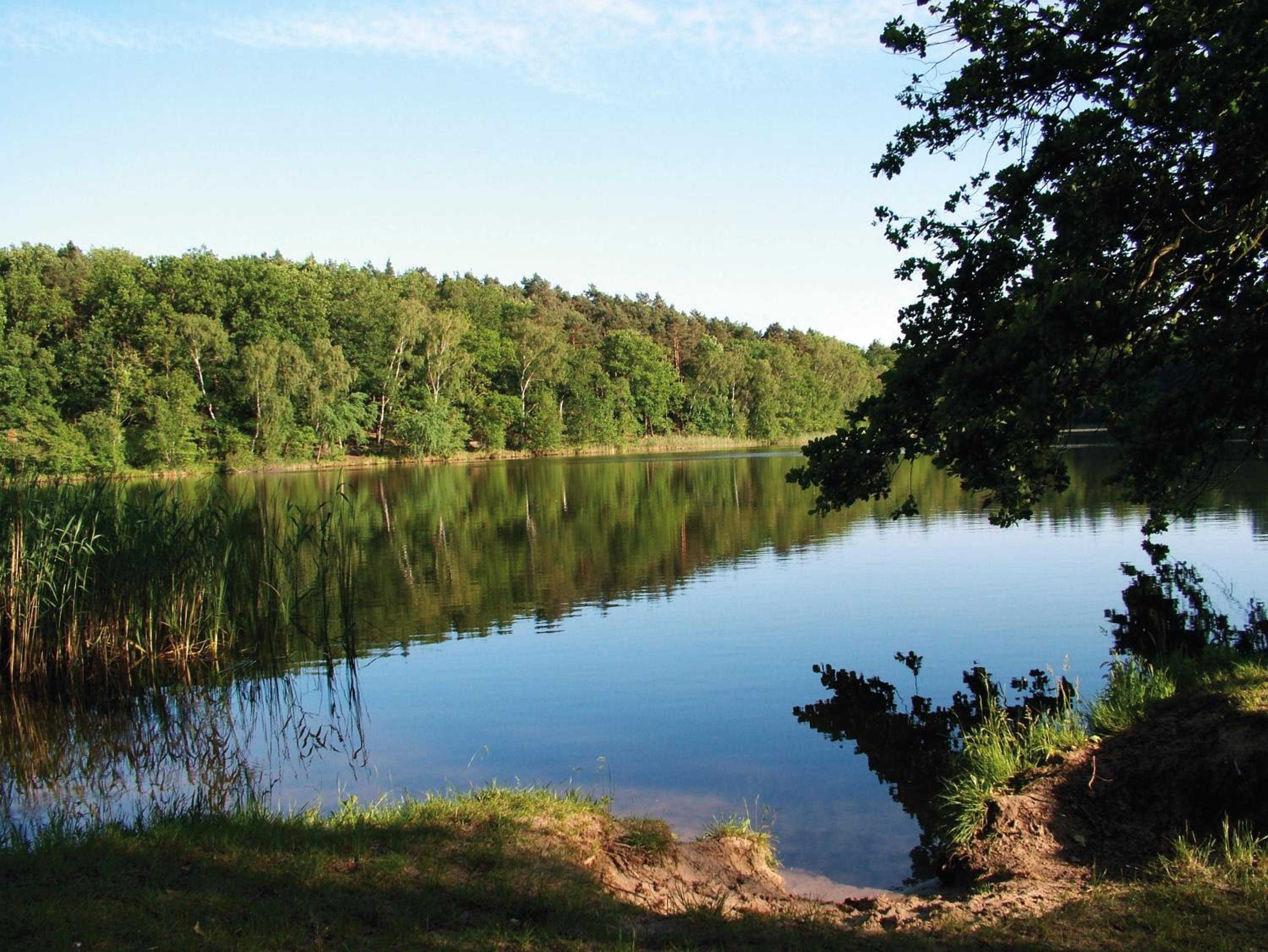 Finnhütten Waldesruh
