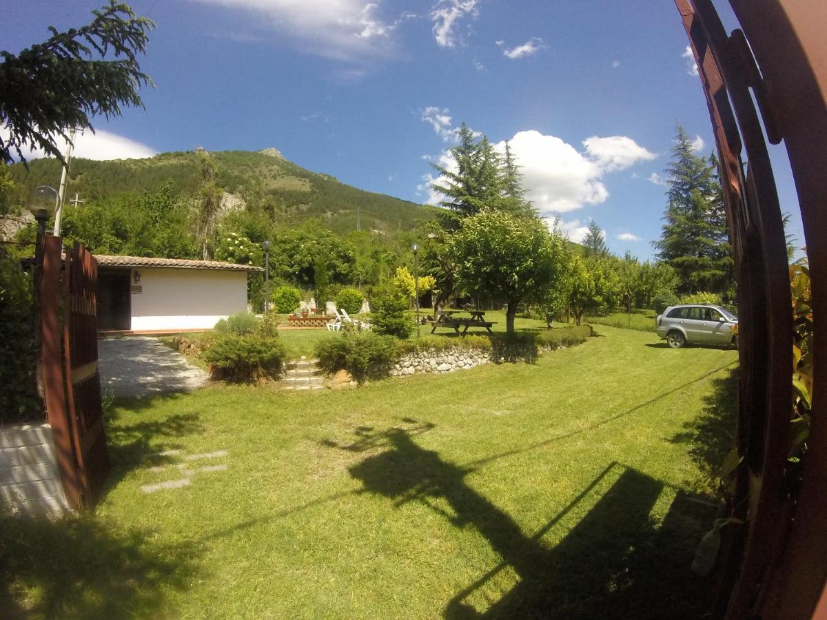 Photo 12