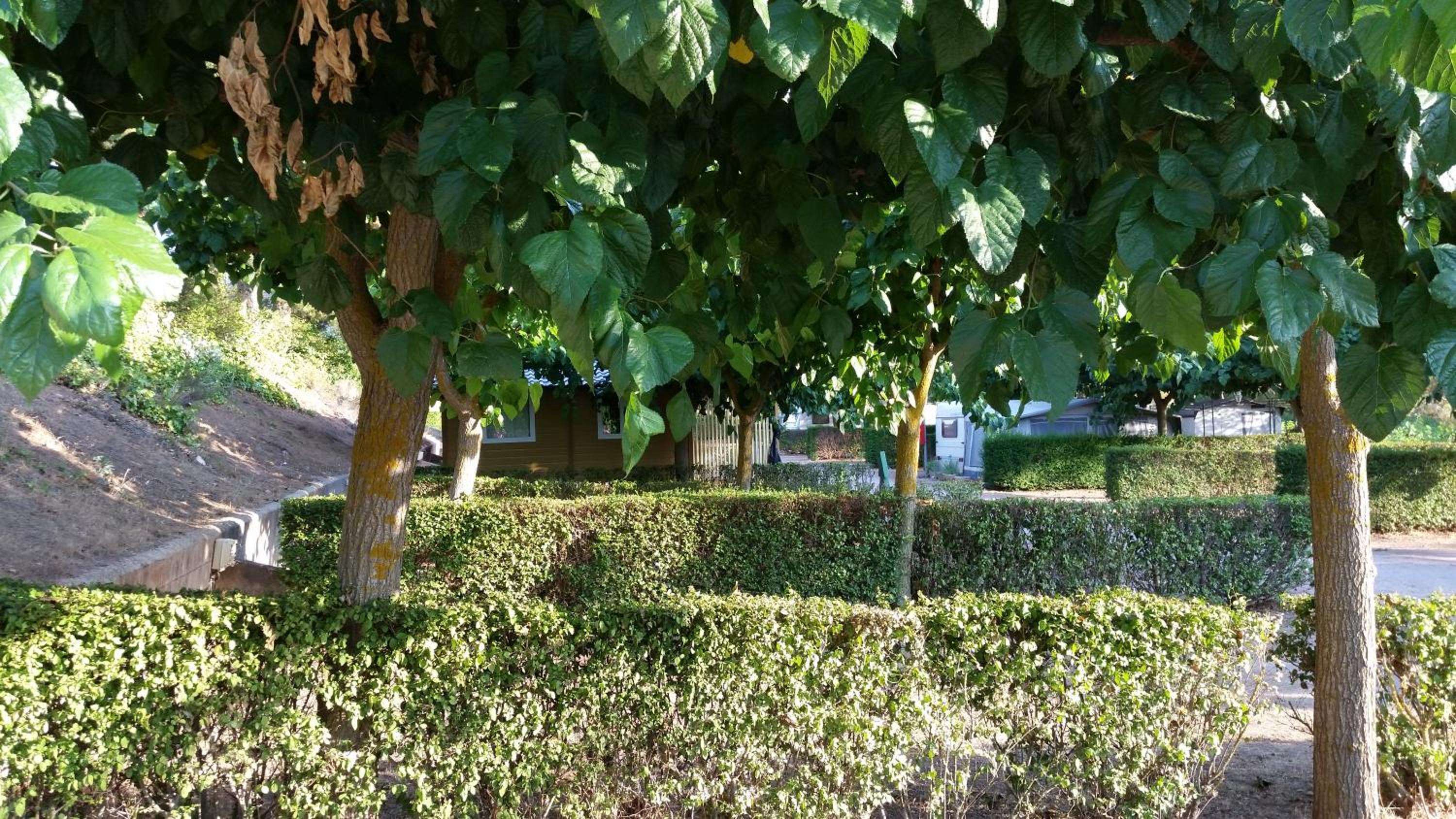Photo 54