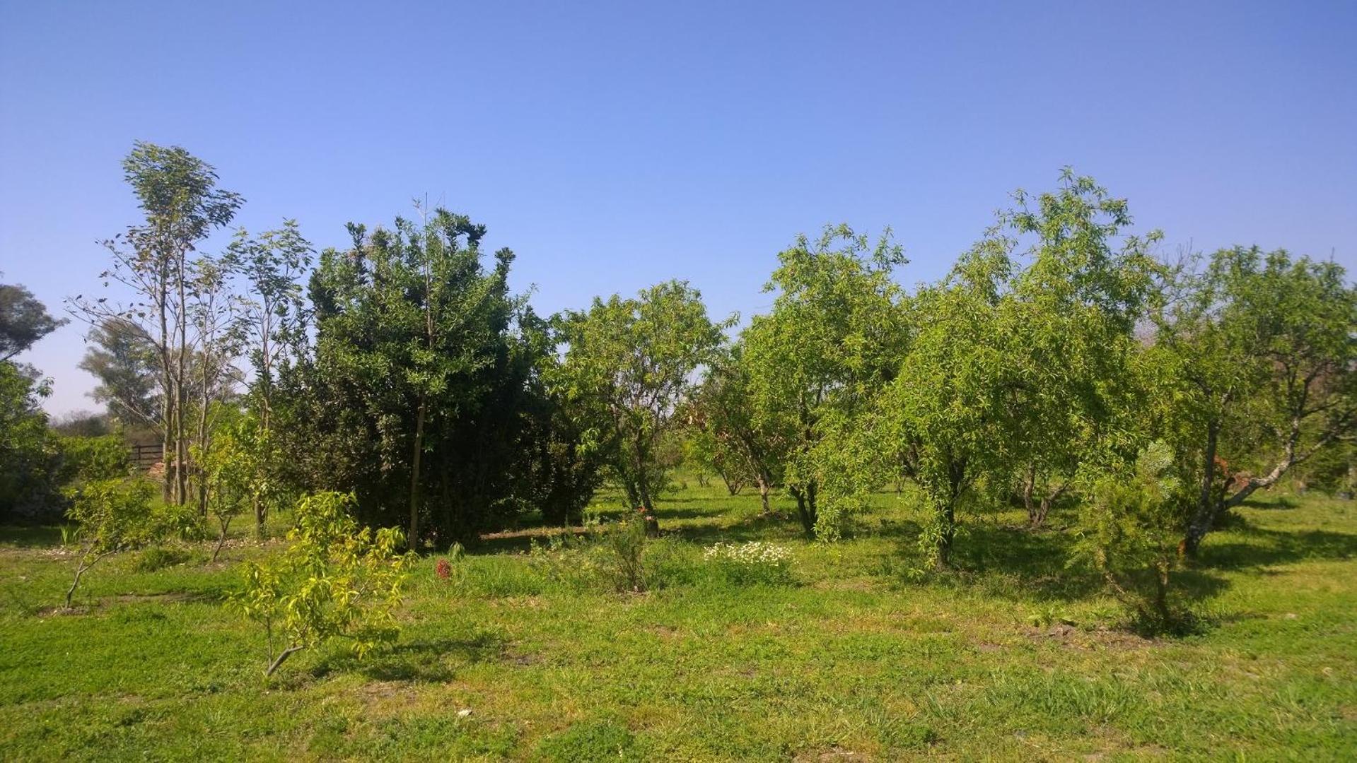 Cabañas El Paraiso