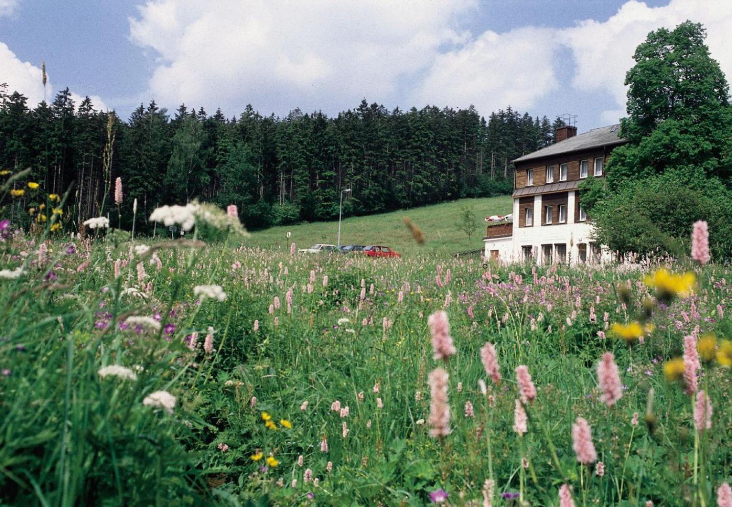 Landhaus Bergidyll