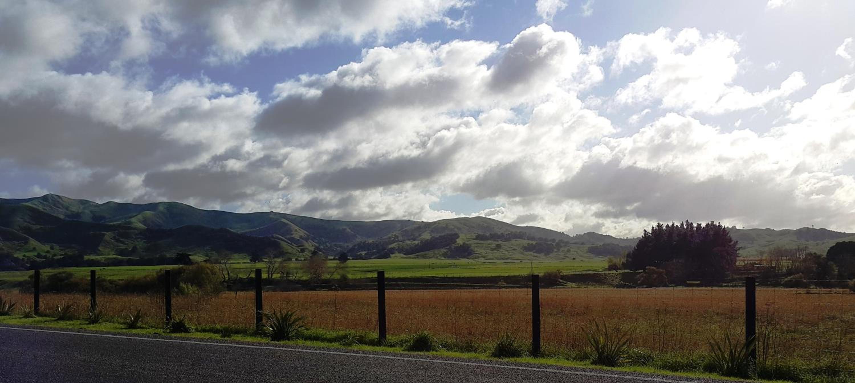Bella Vista Gisborne, photo 22