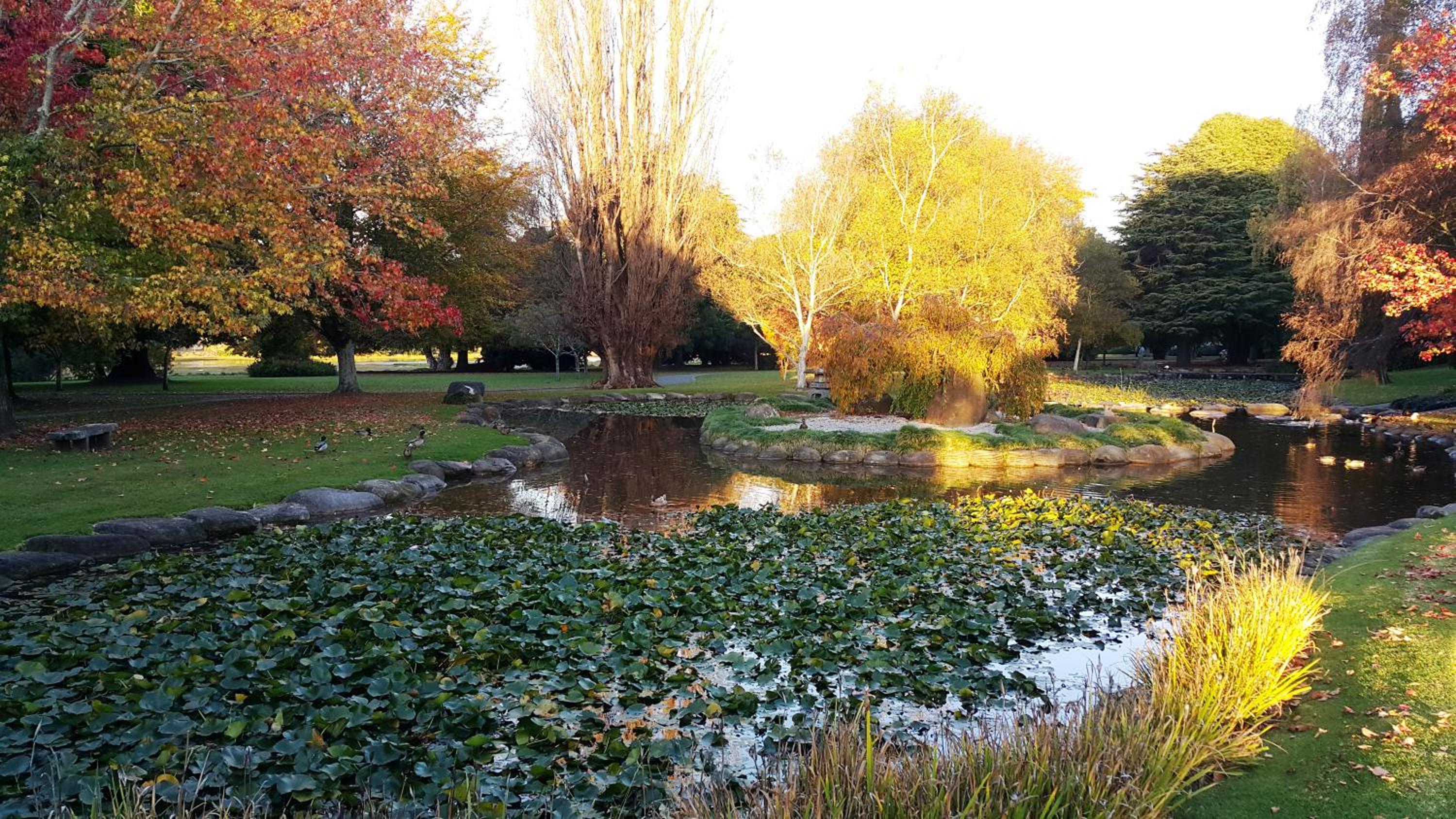 Bella Vista Gisborne, photo 14