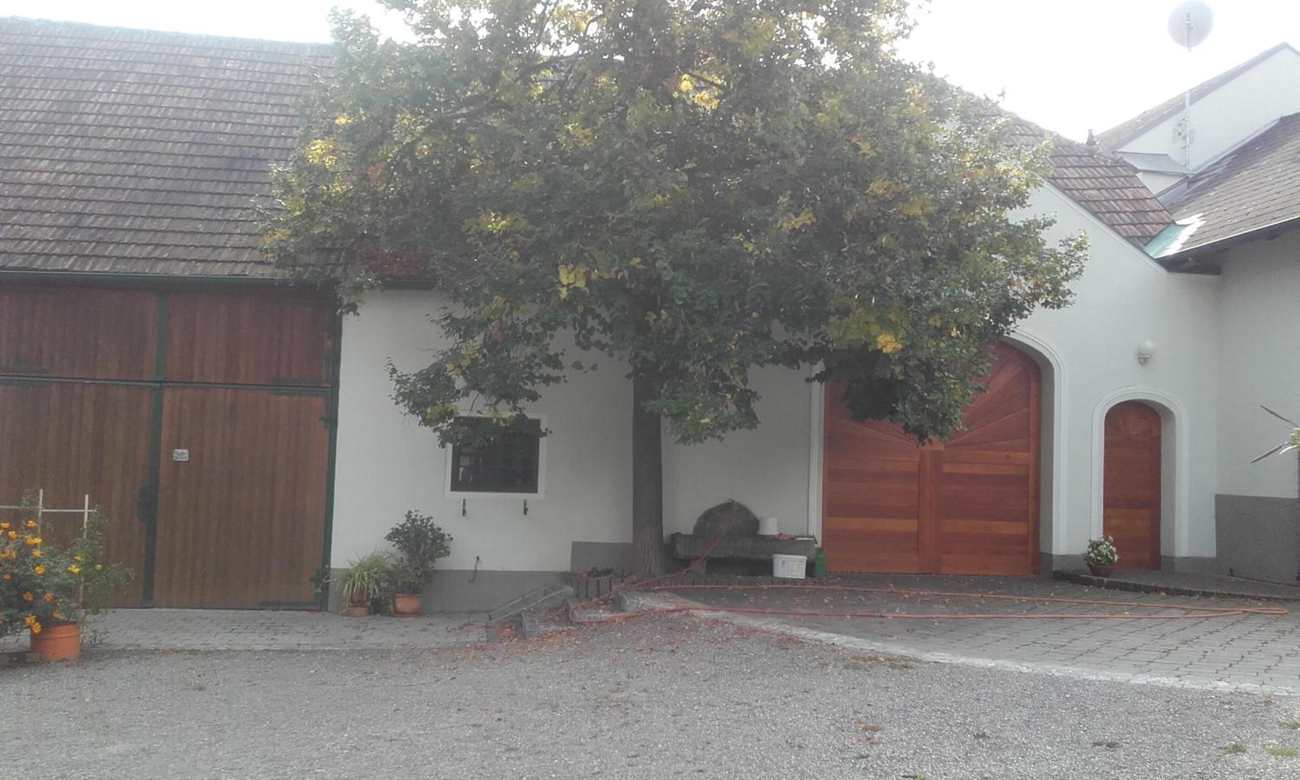 Photo 34