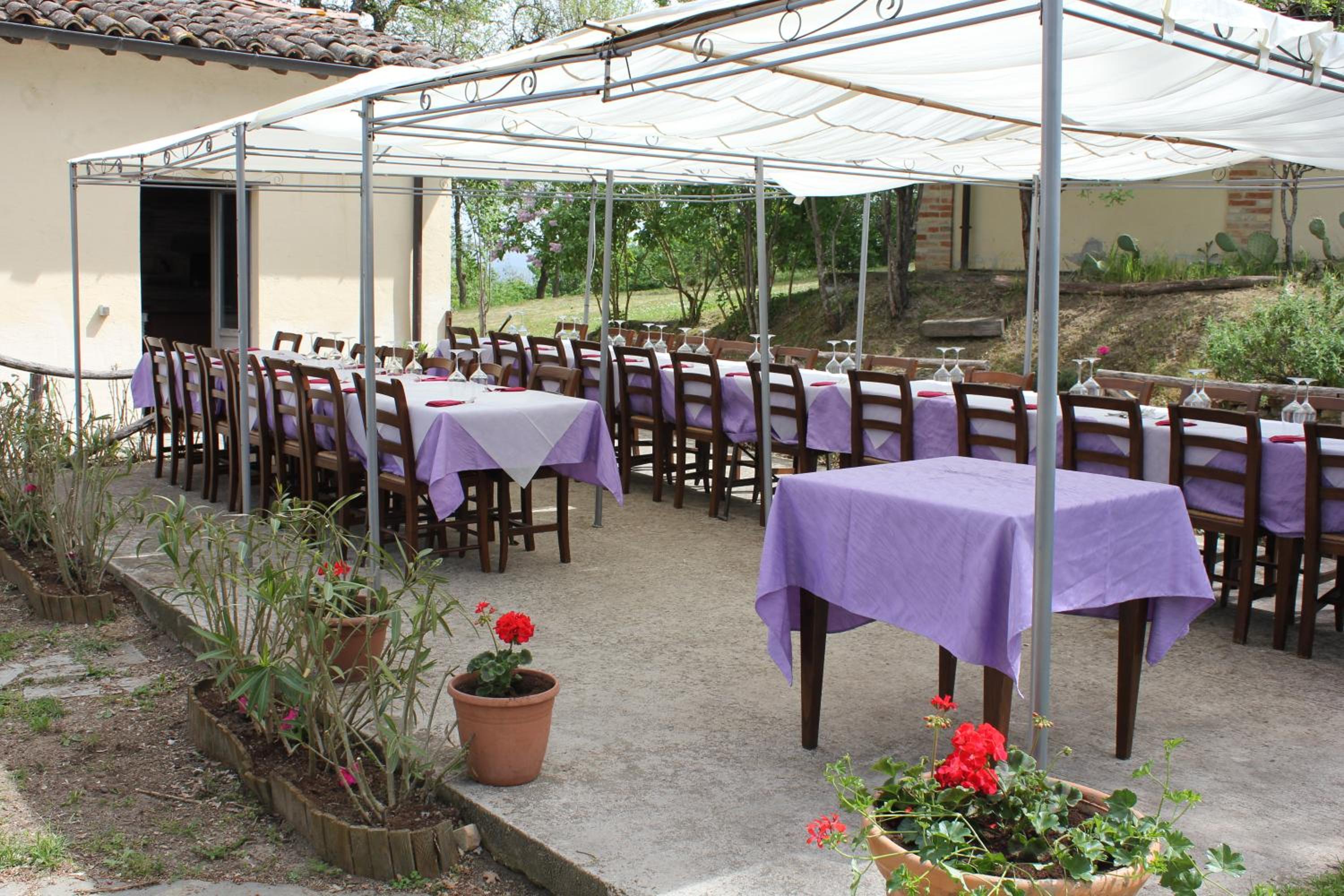 Badia il Vingone
