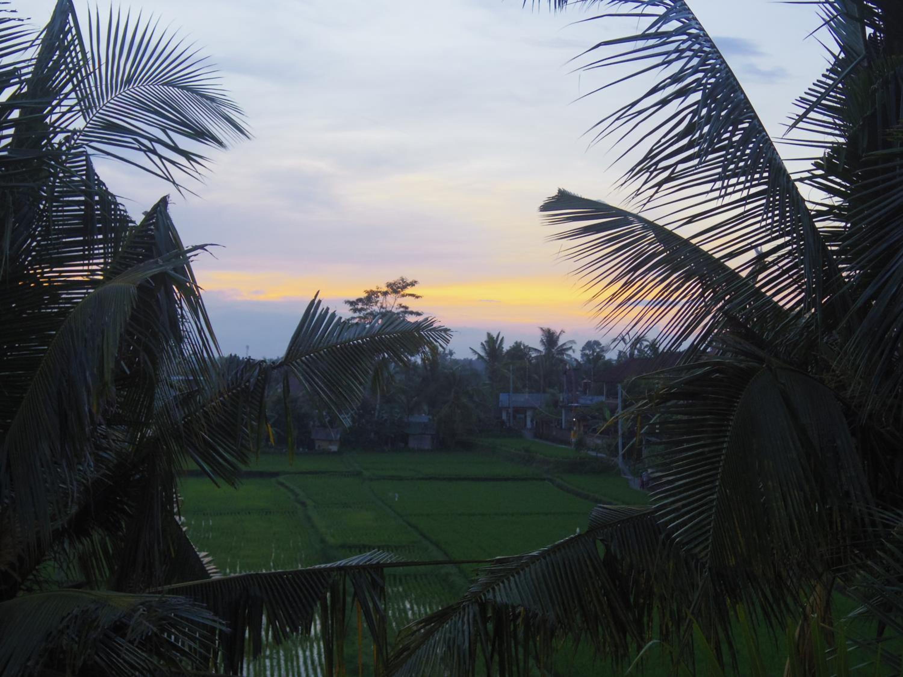 Eden House Ubud