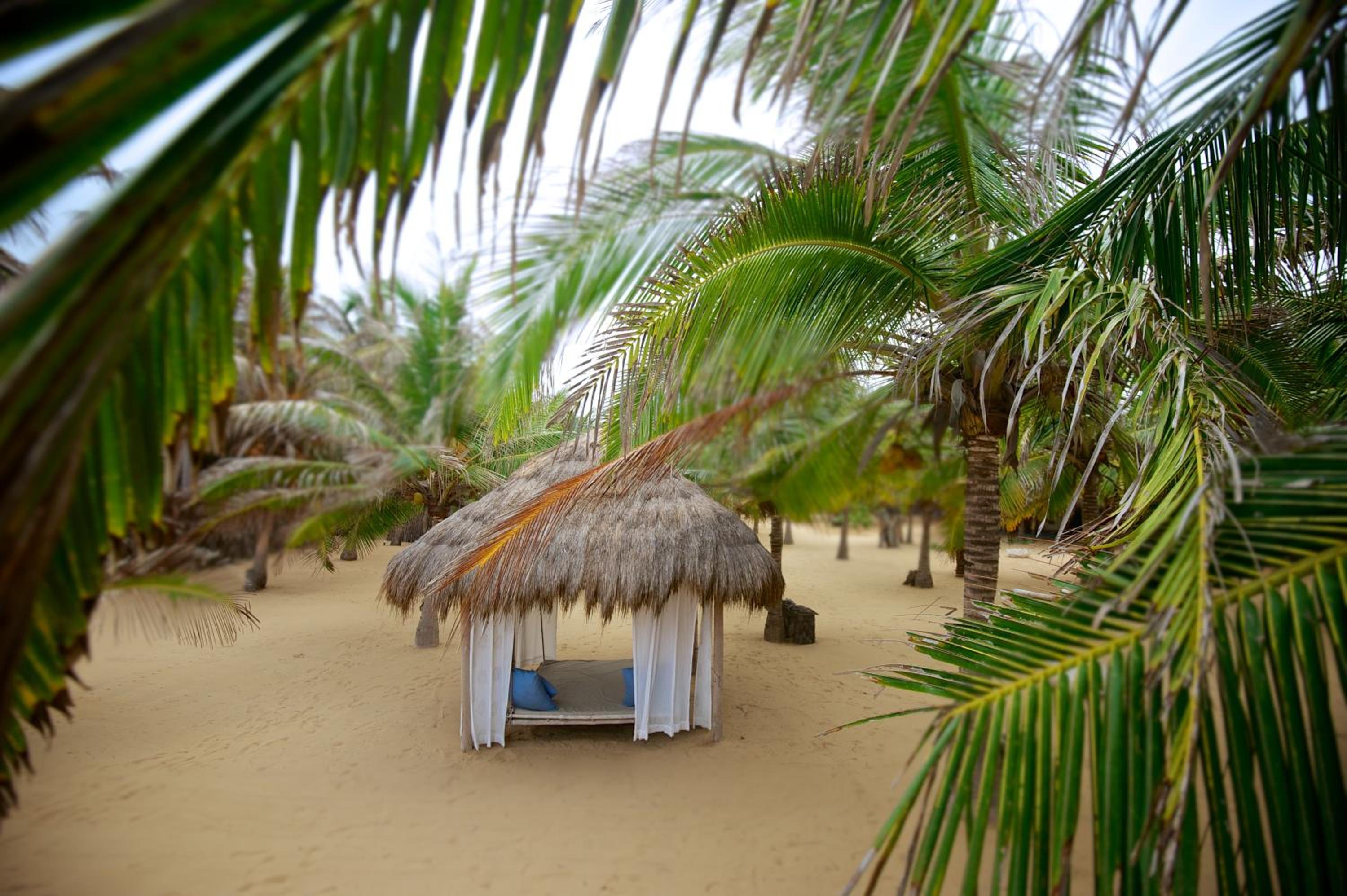 Dolphin Beach Resort