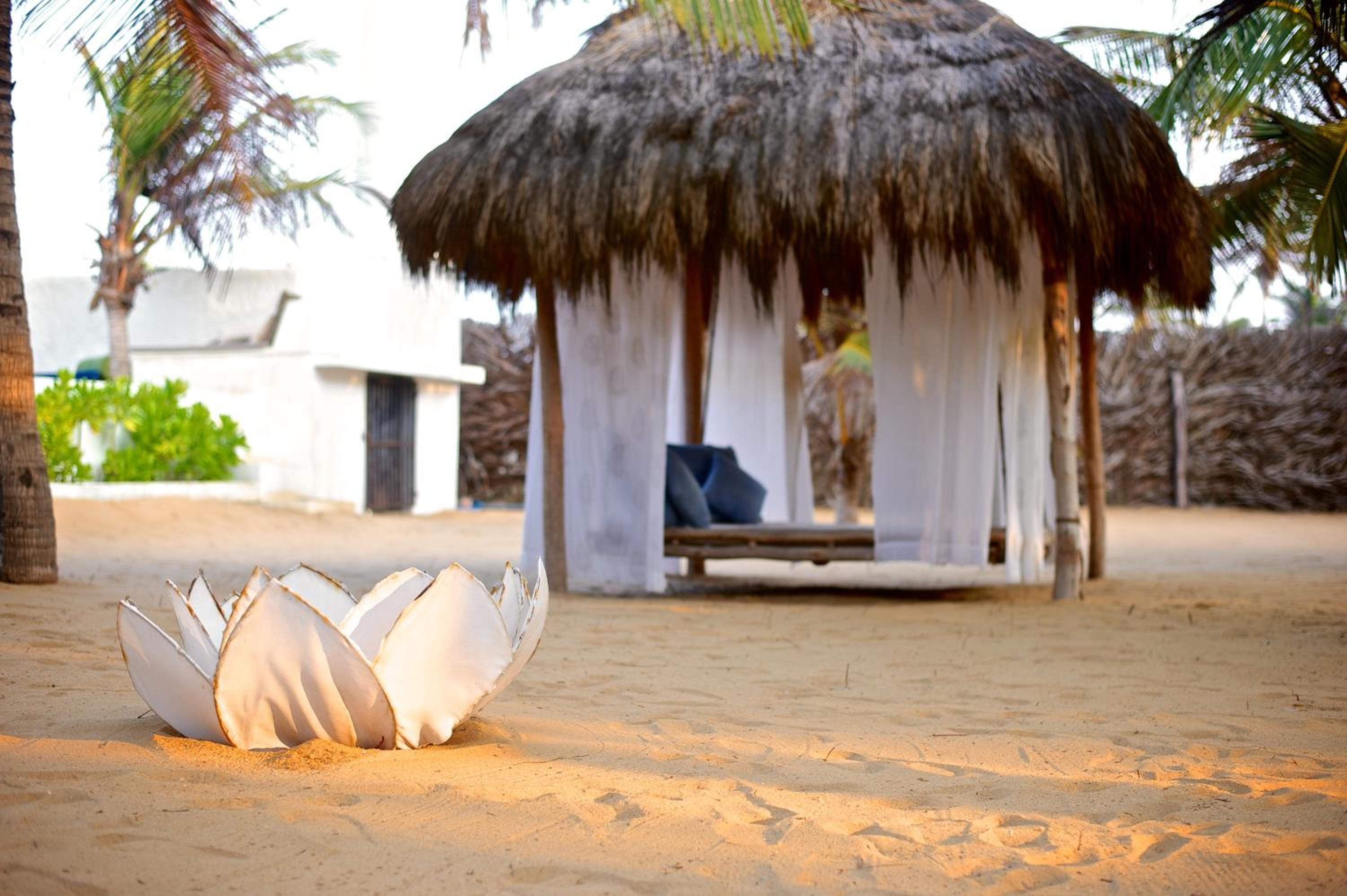Dolphin Beach Resort