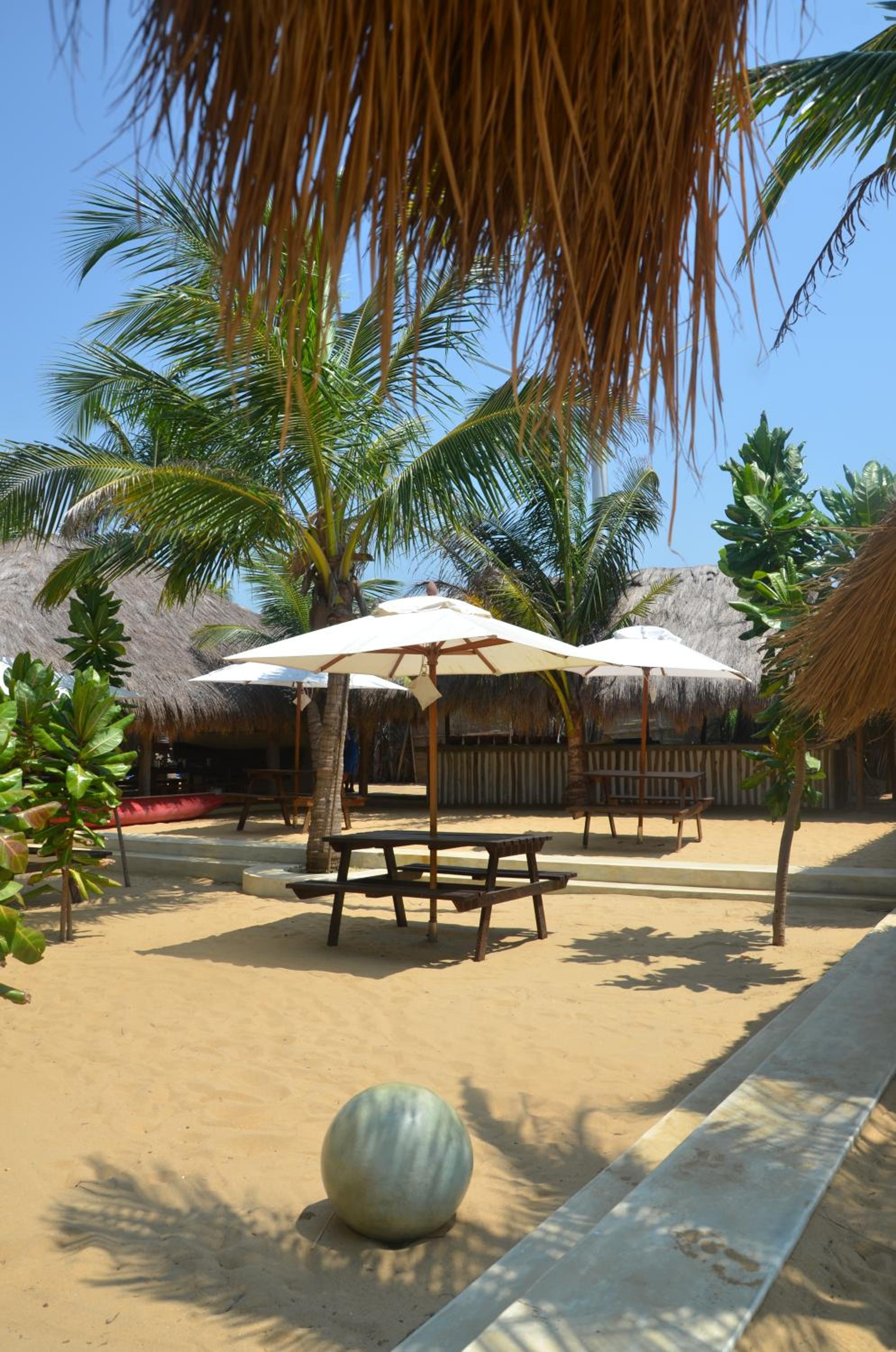 Dolphin Beach Resort