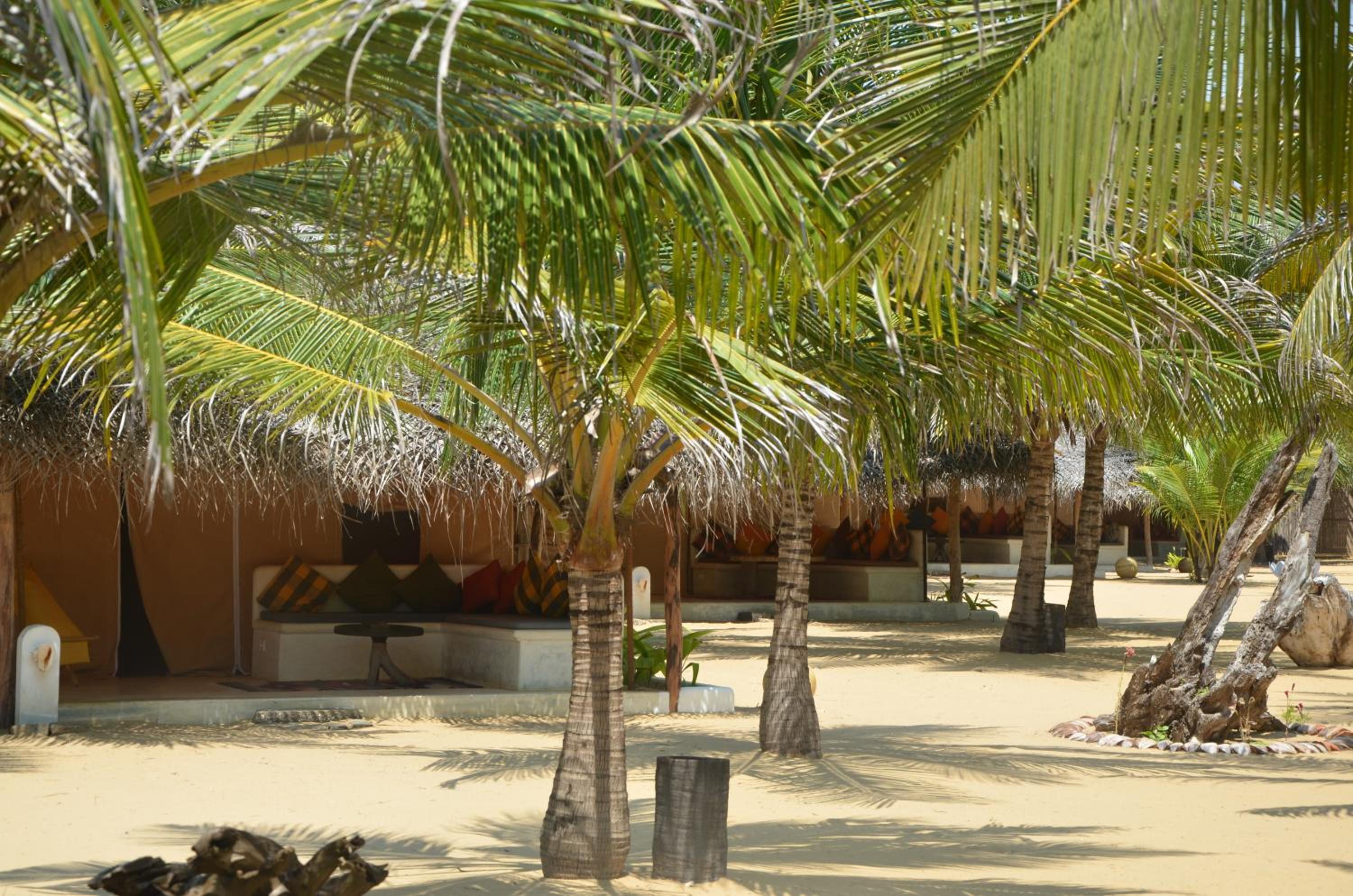 Dolphin Beach Resort