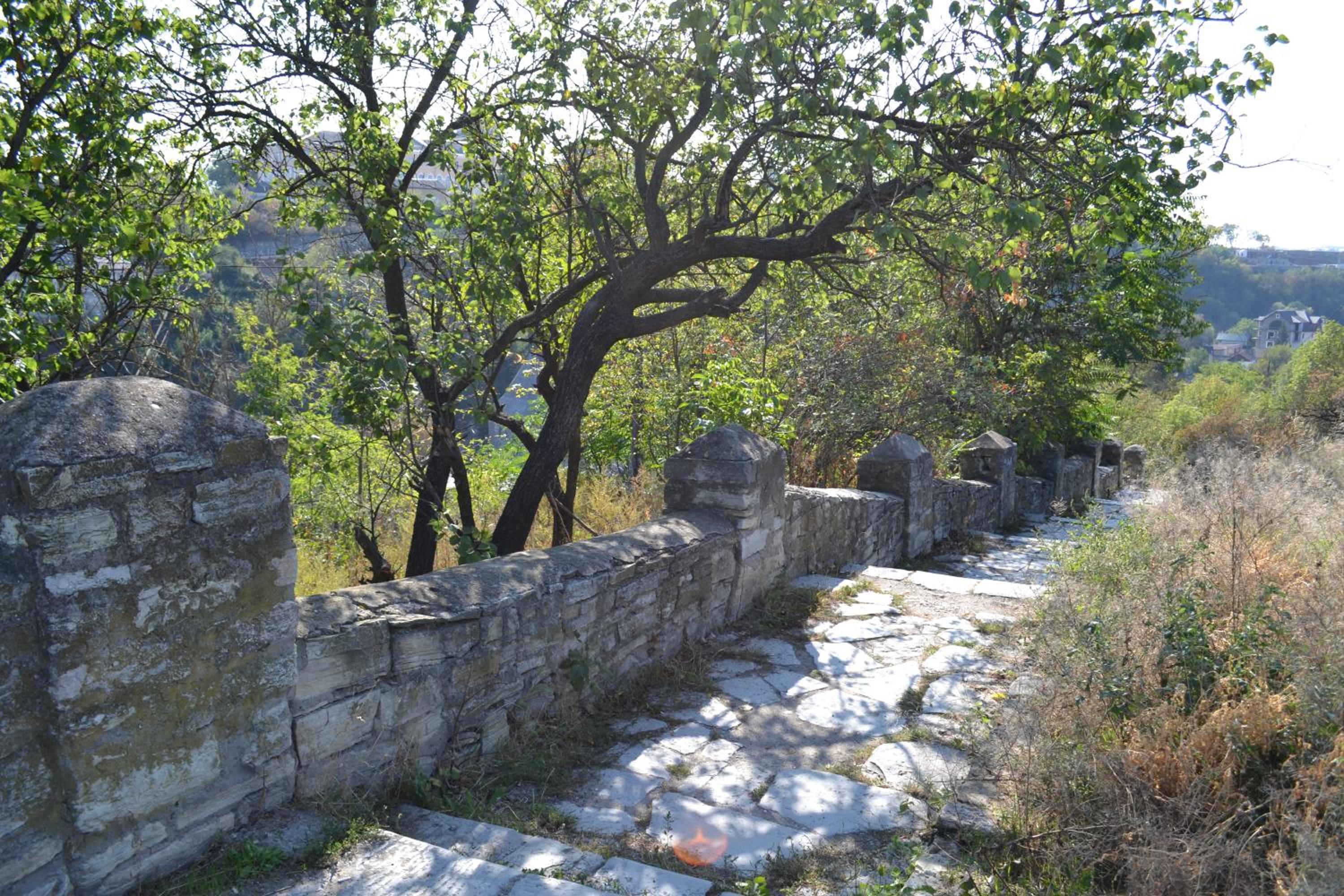 Photo 36