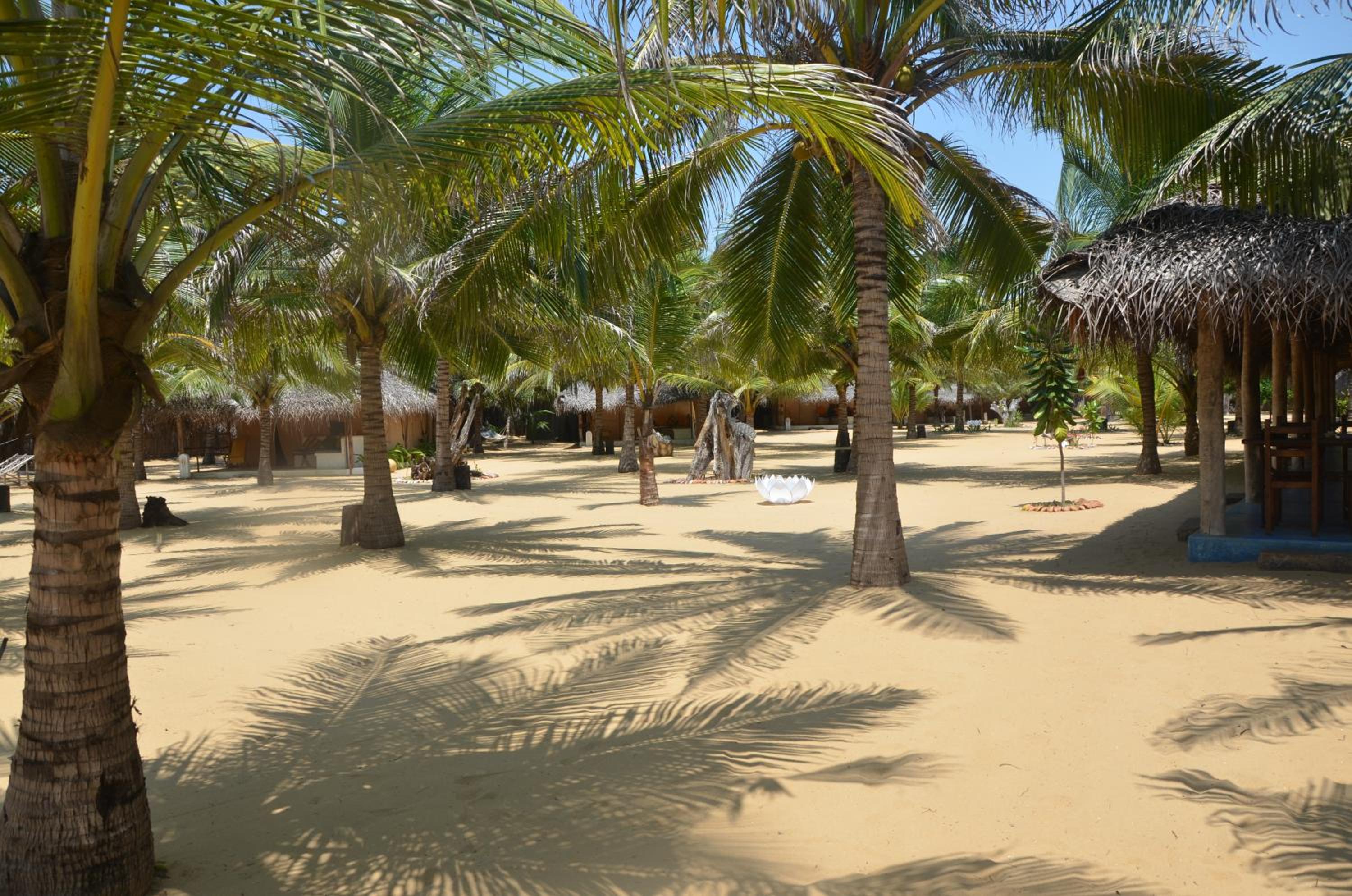 Dolphin Beach Resort