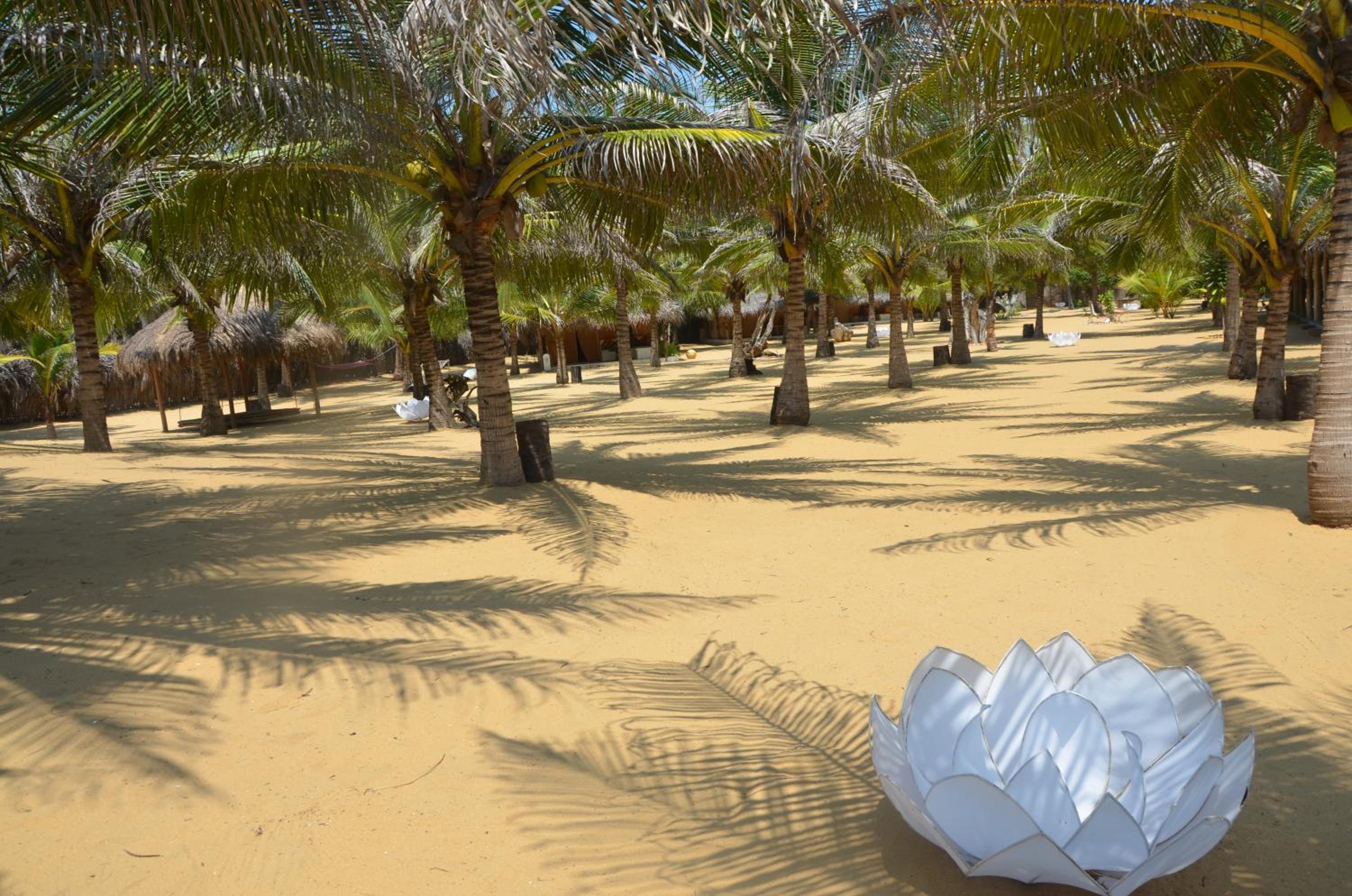 Dolphin Beach Resort