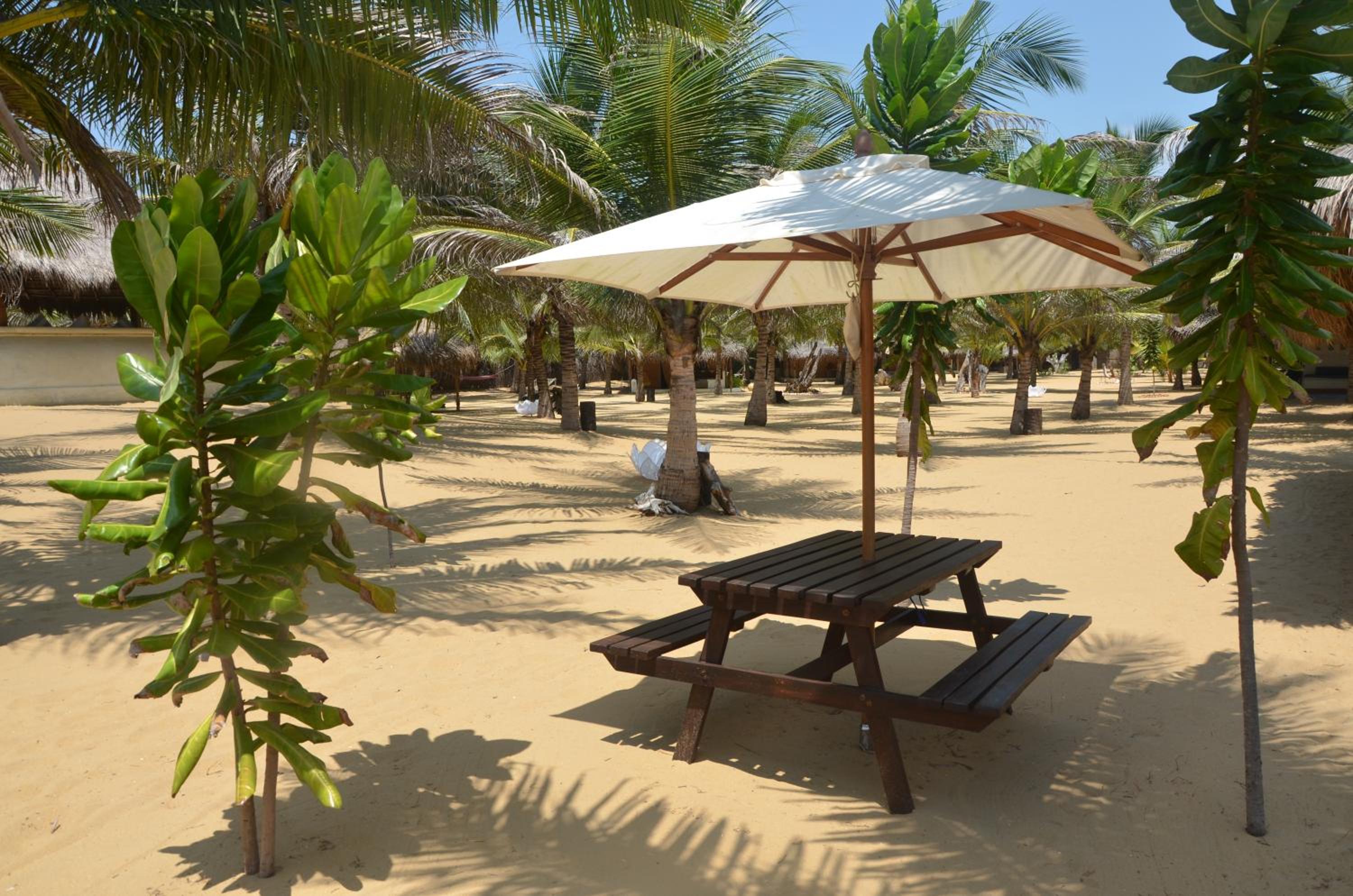 Dolphin Beach Resort