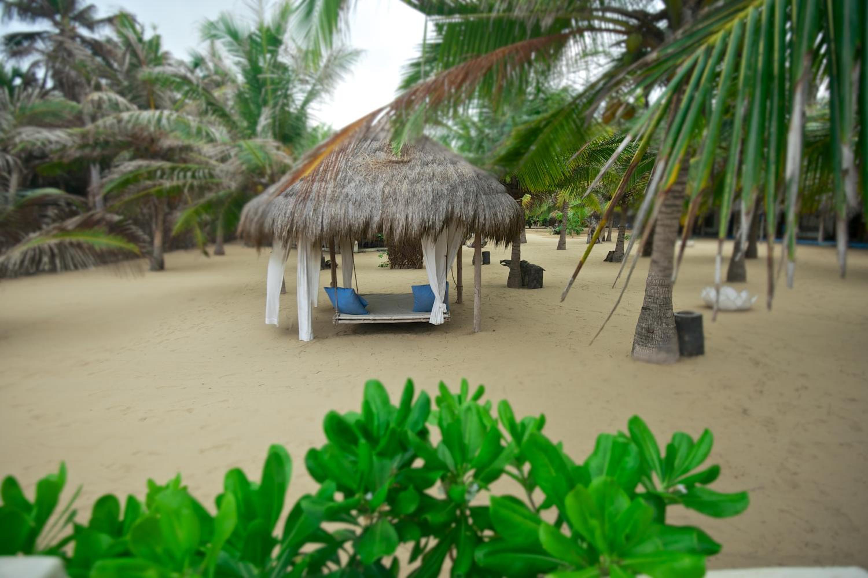 Dolphin Beach Resort