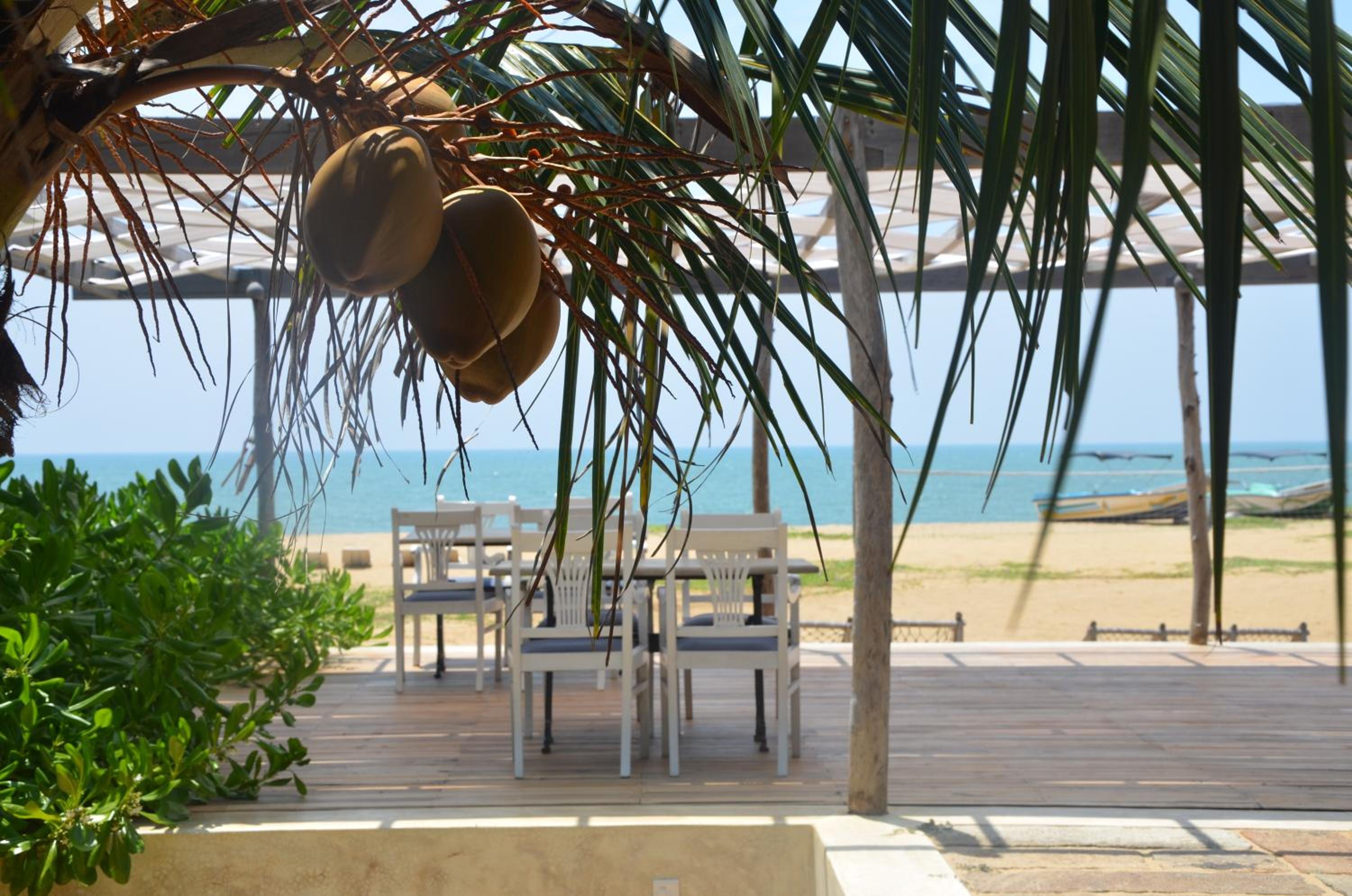 Dolphin Beach Resort