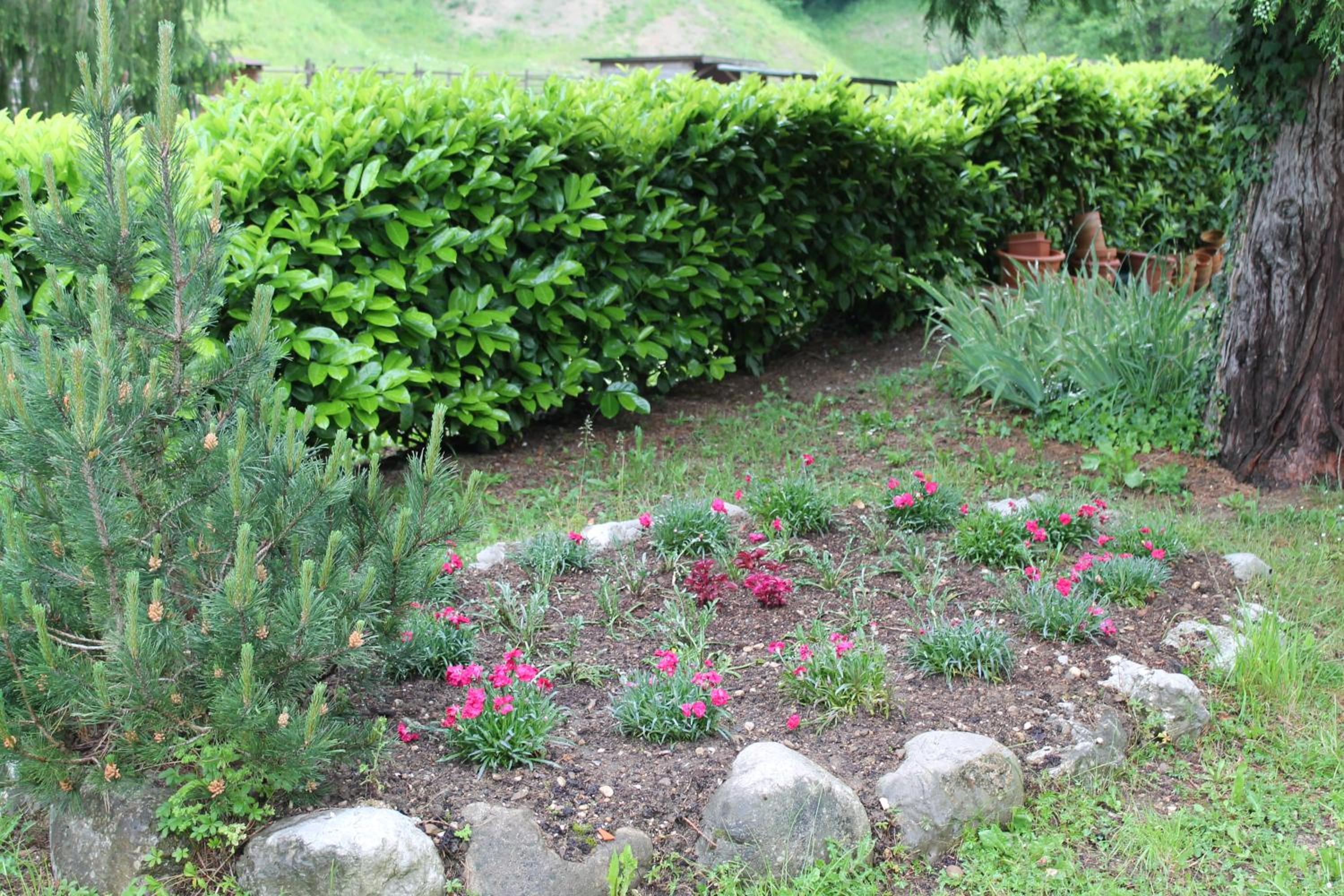 Photo 35