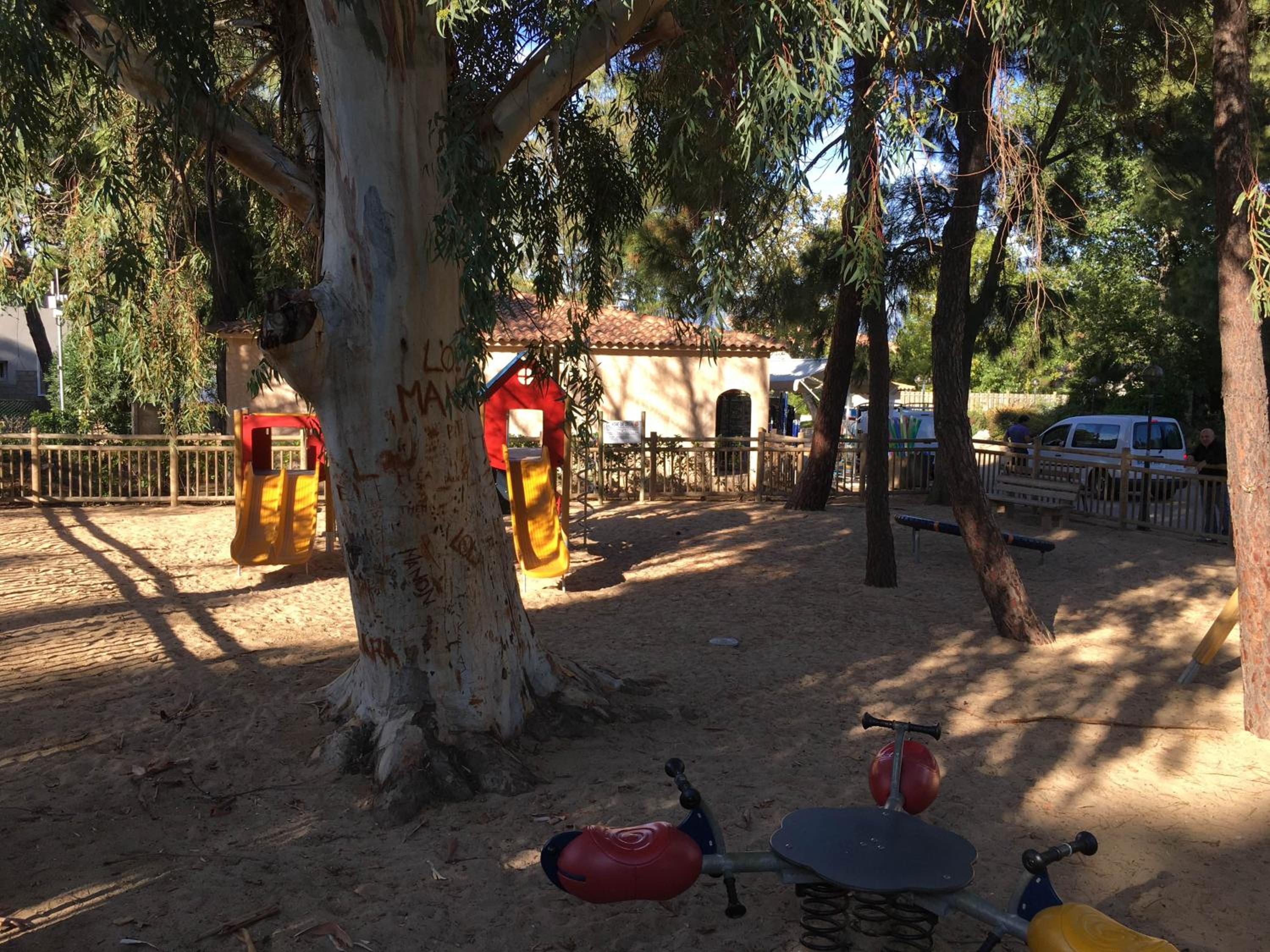 Photo 20