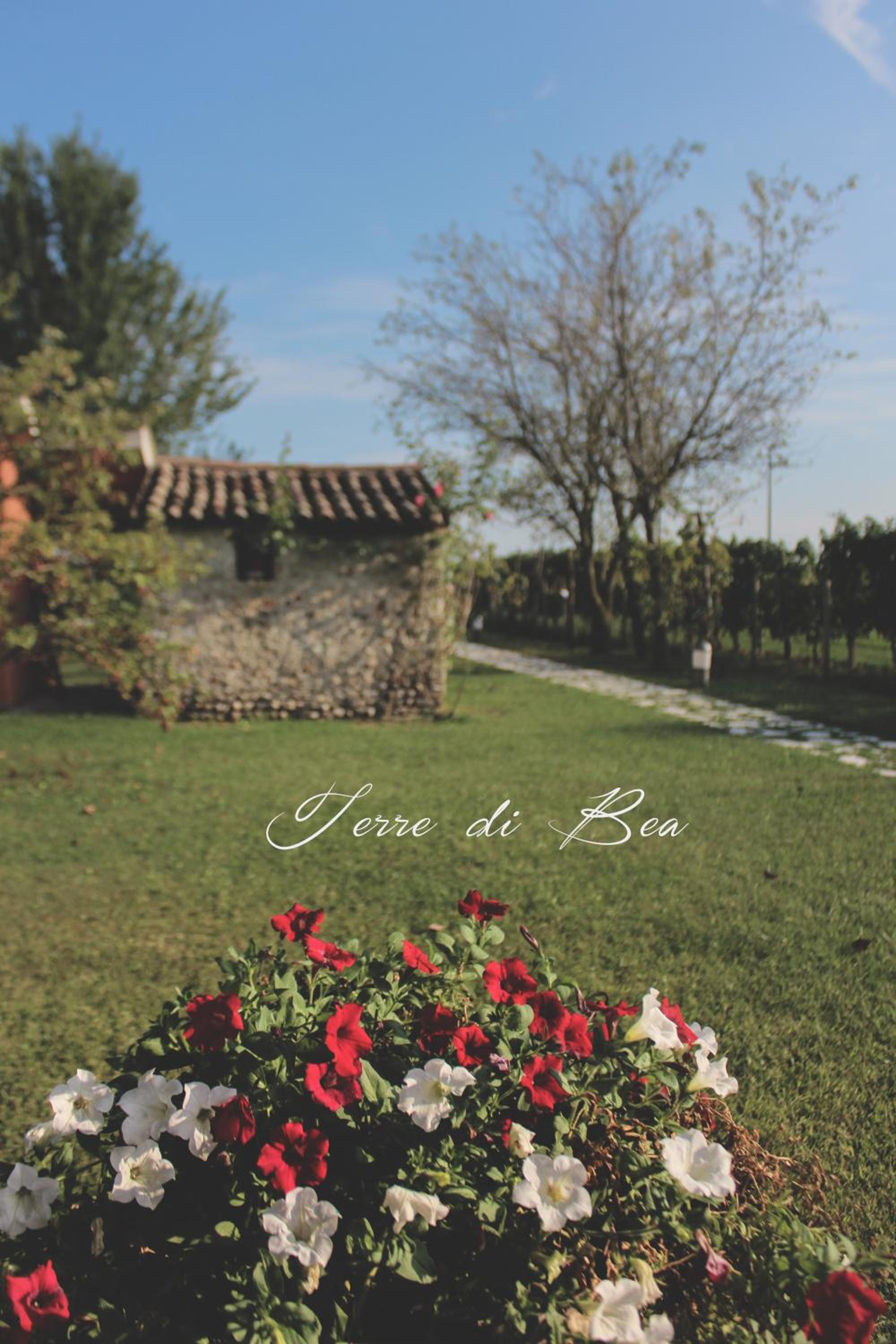 B&B Terre Di Bea