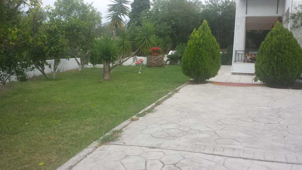 Photo 9