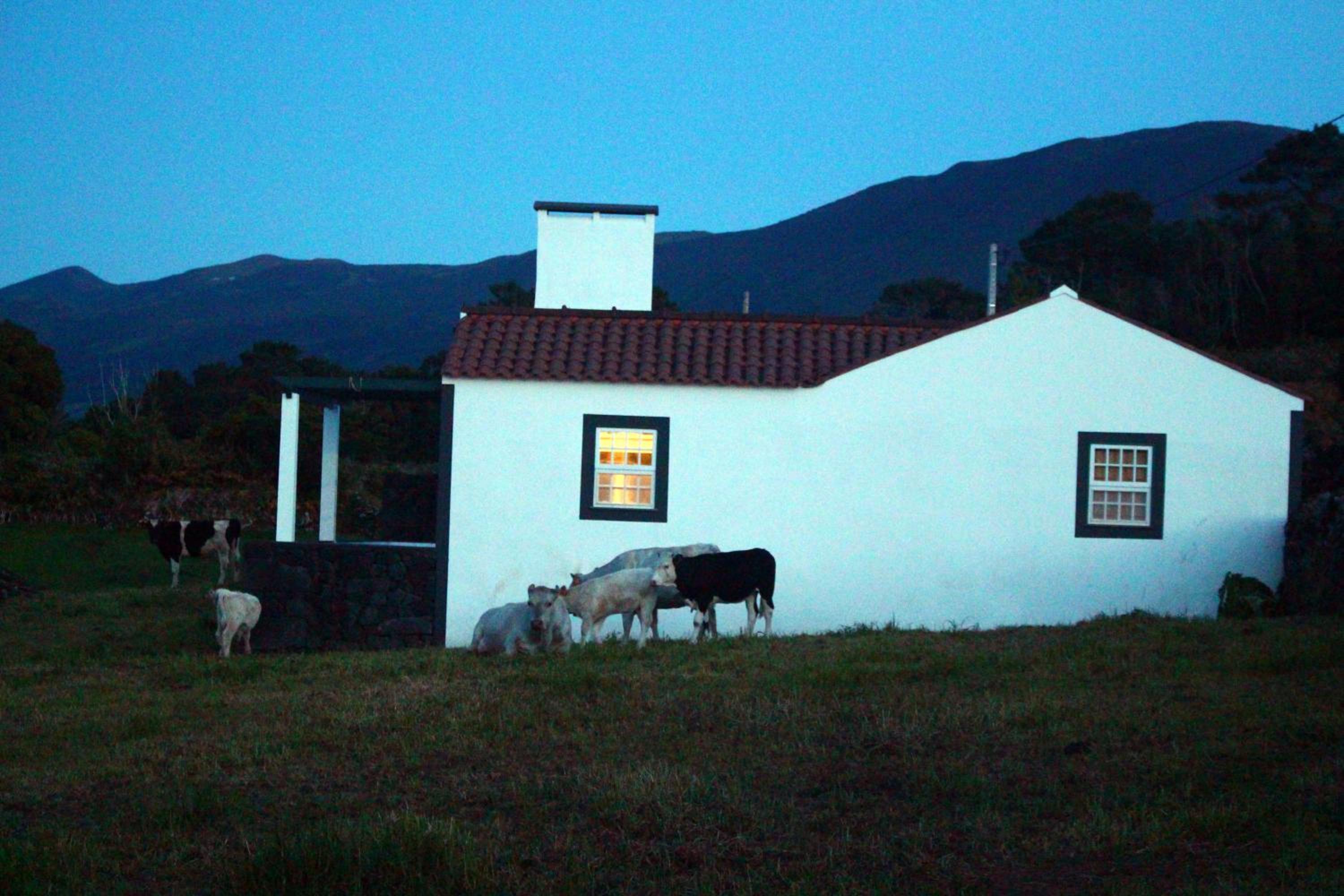 Casa do Paim view 4