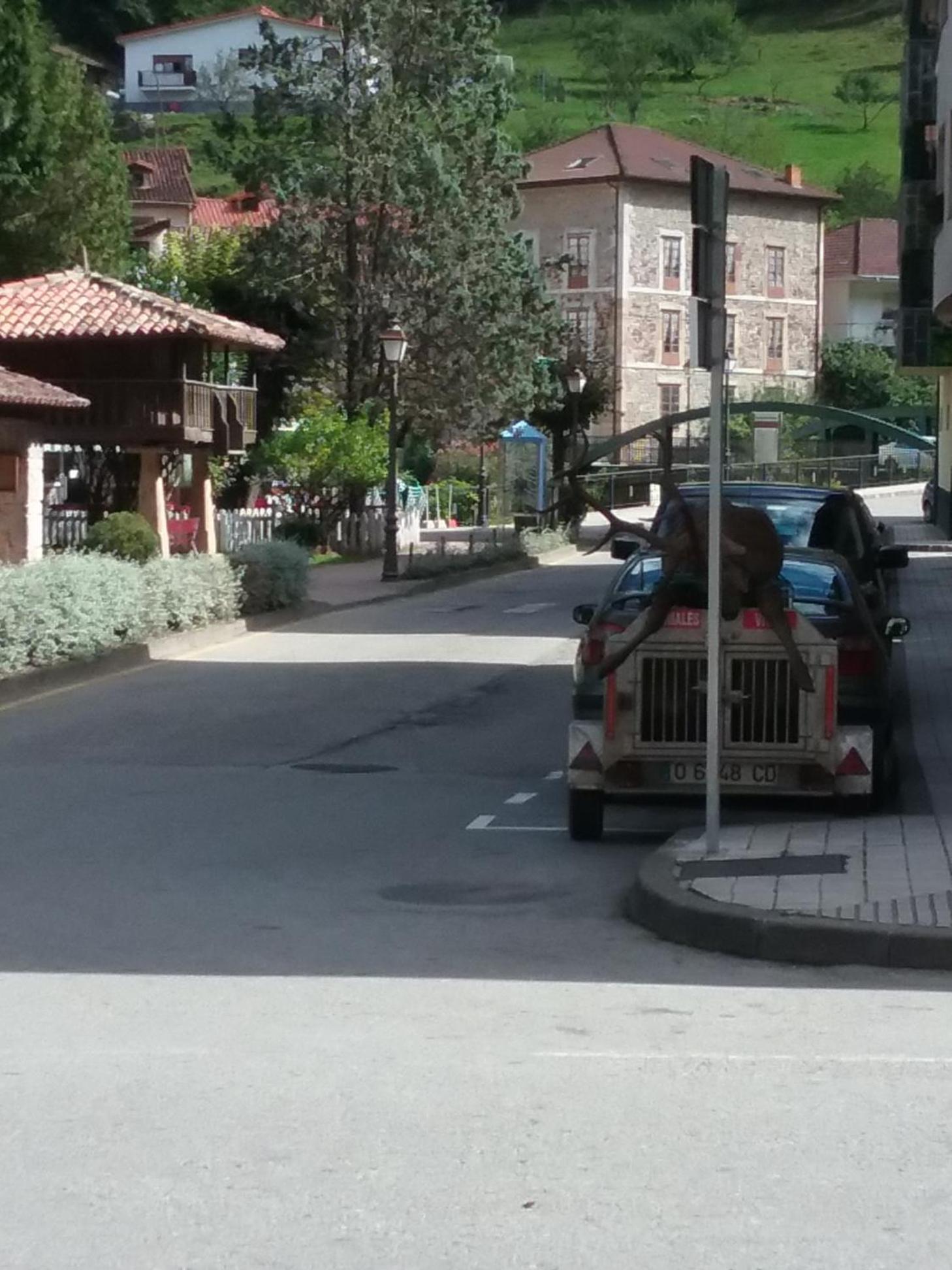 parking