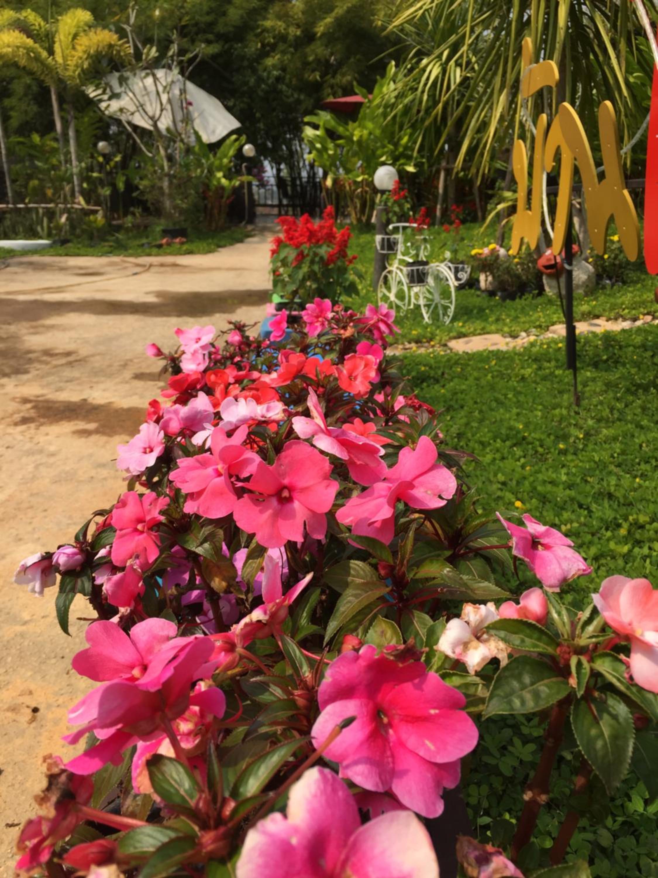 Baan Rai Phufah Resort Chiangrai