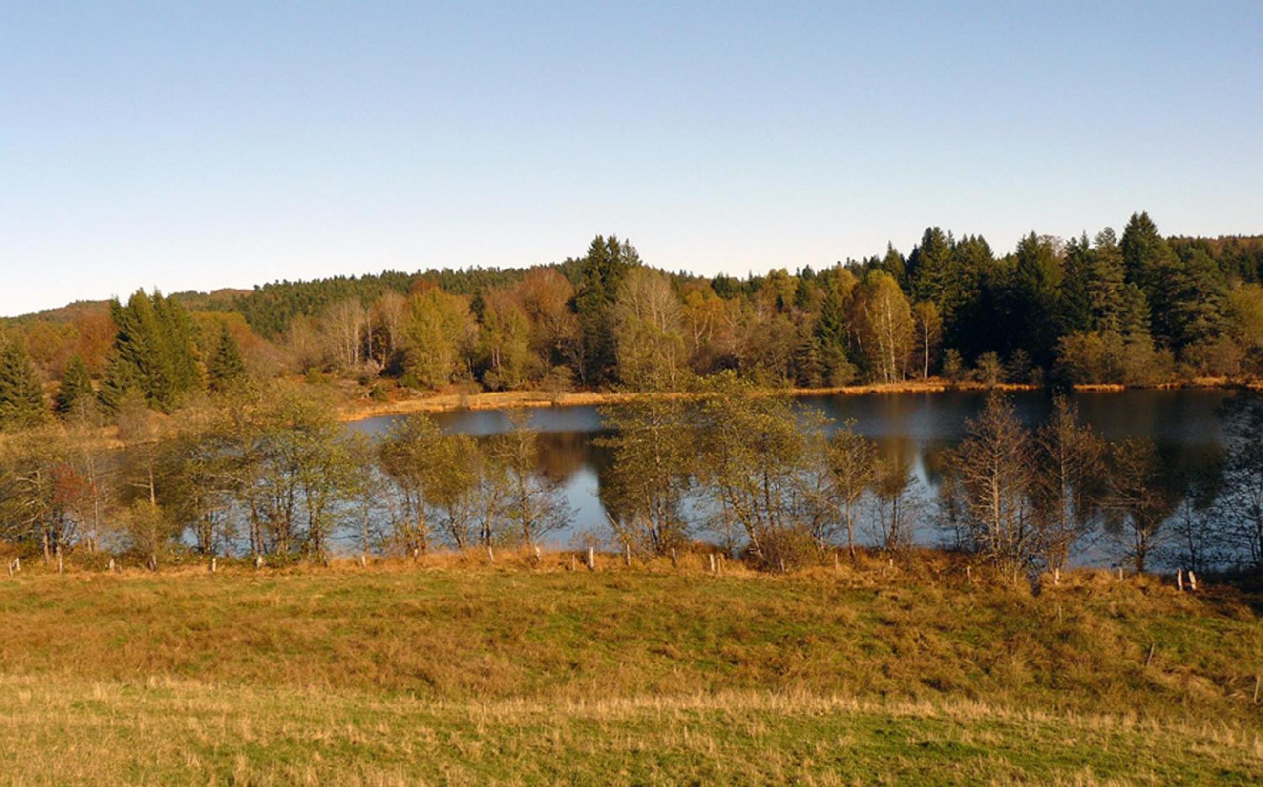 Photo 48