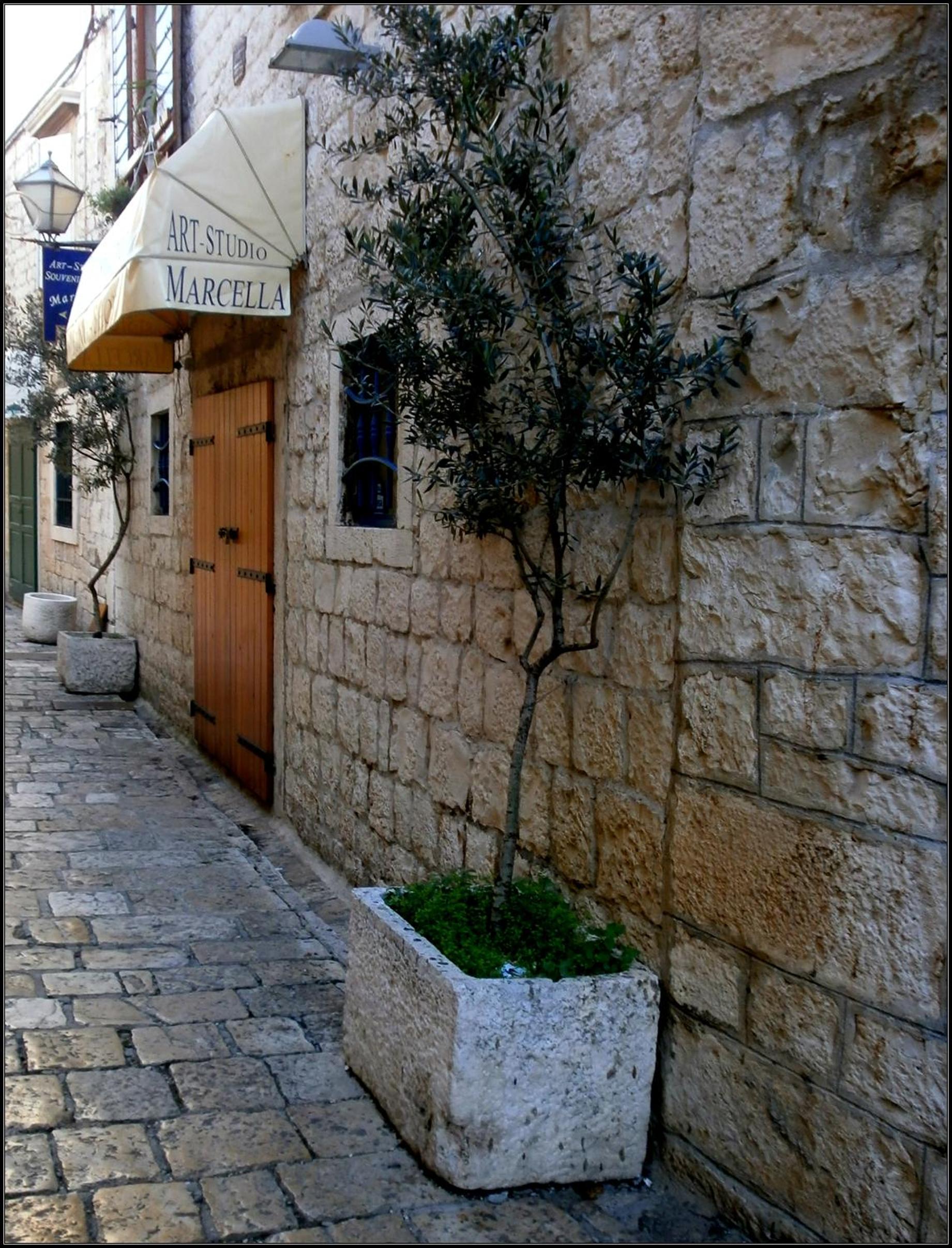 Photo 24