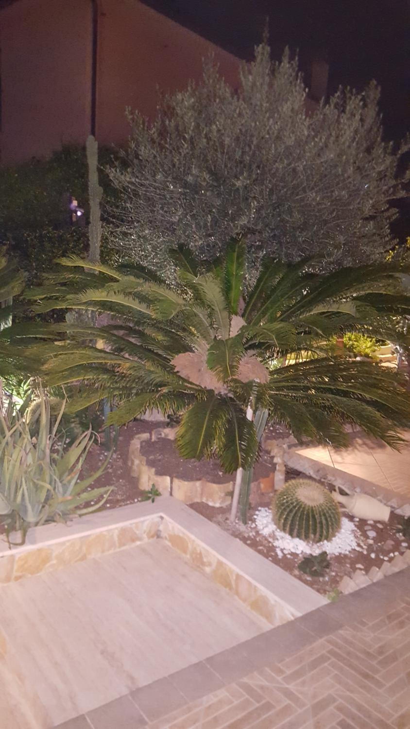 Villa Margherita