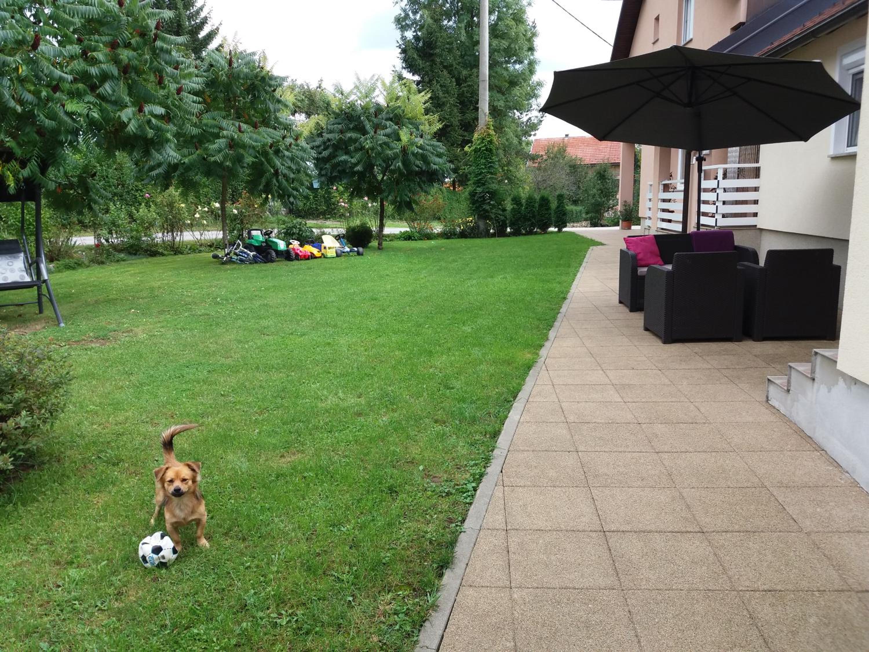 Photo 17