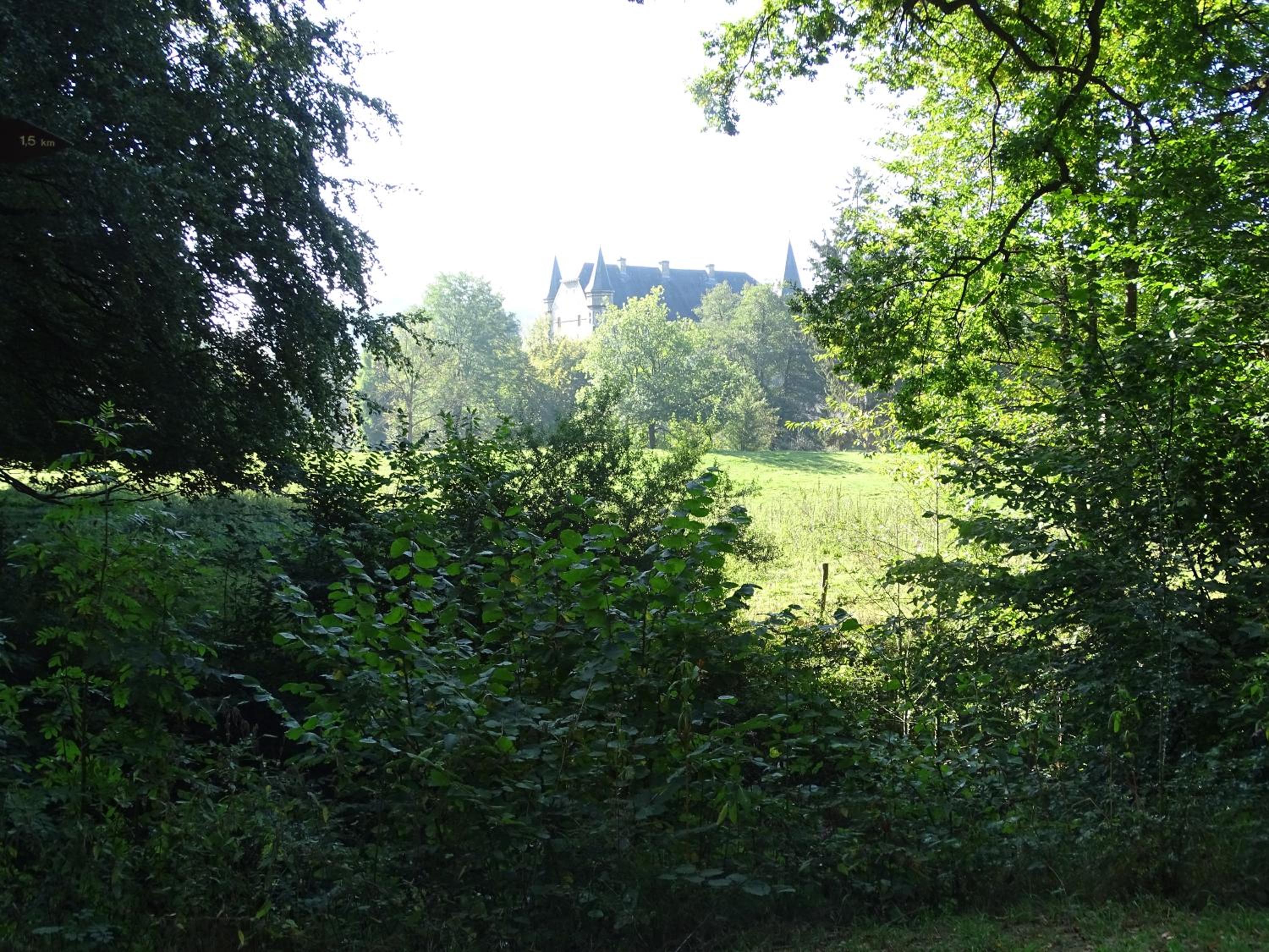 Photo 29