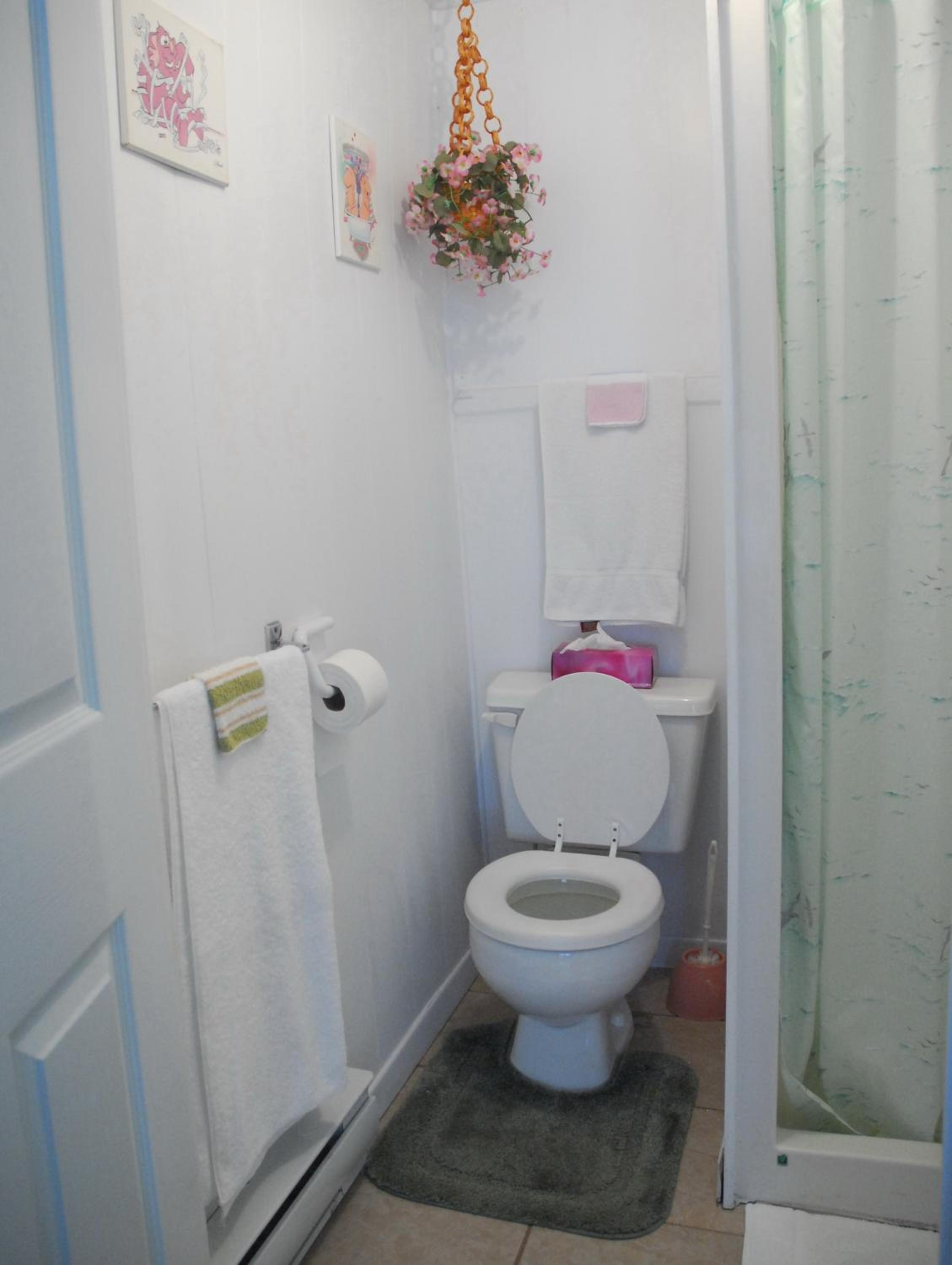 Photo 7