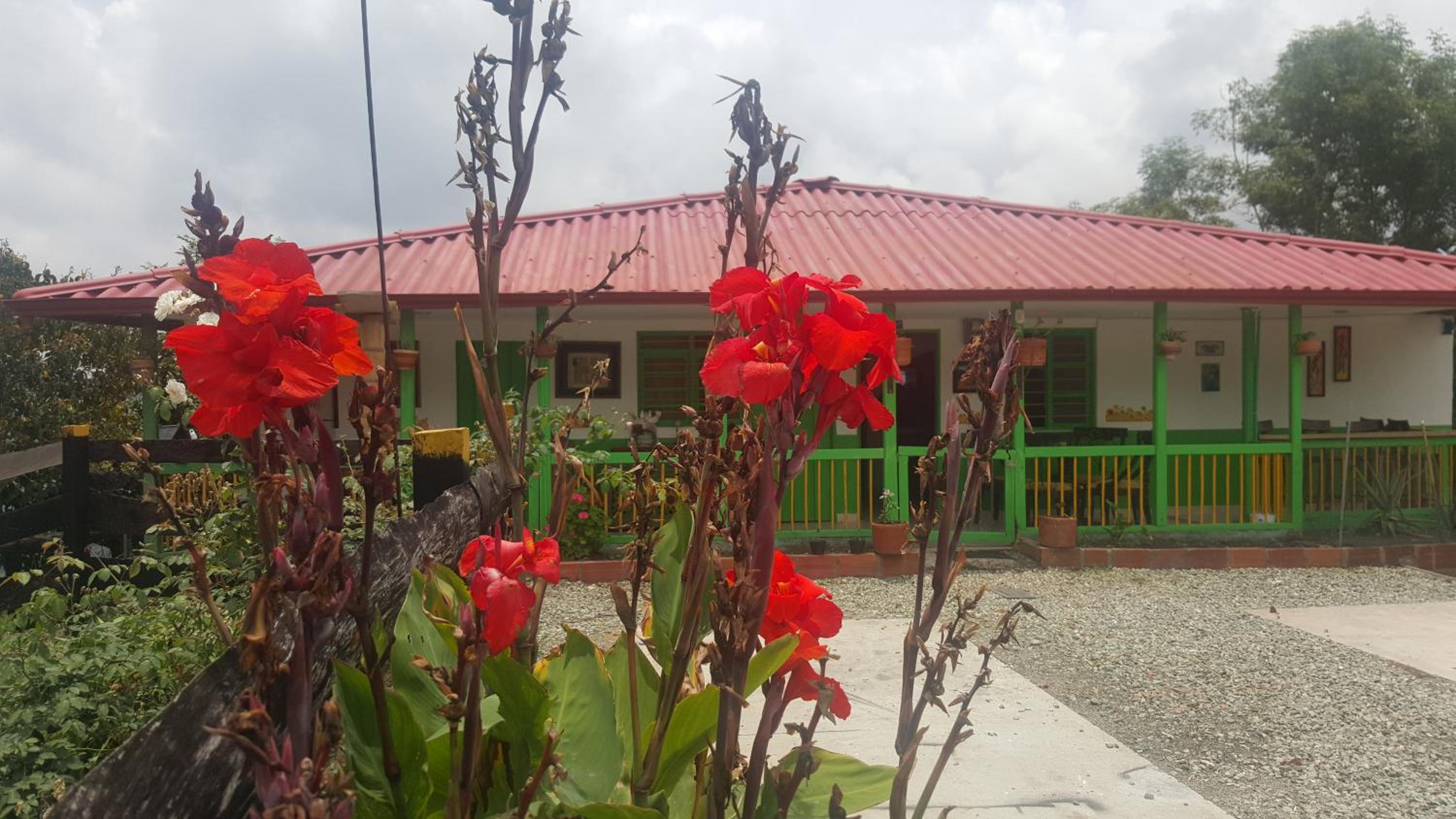 Hostal y Camping Los Girasoles