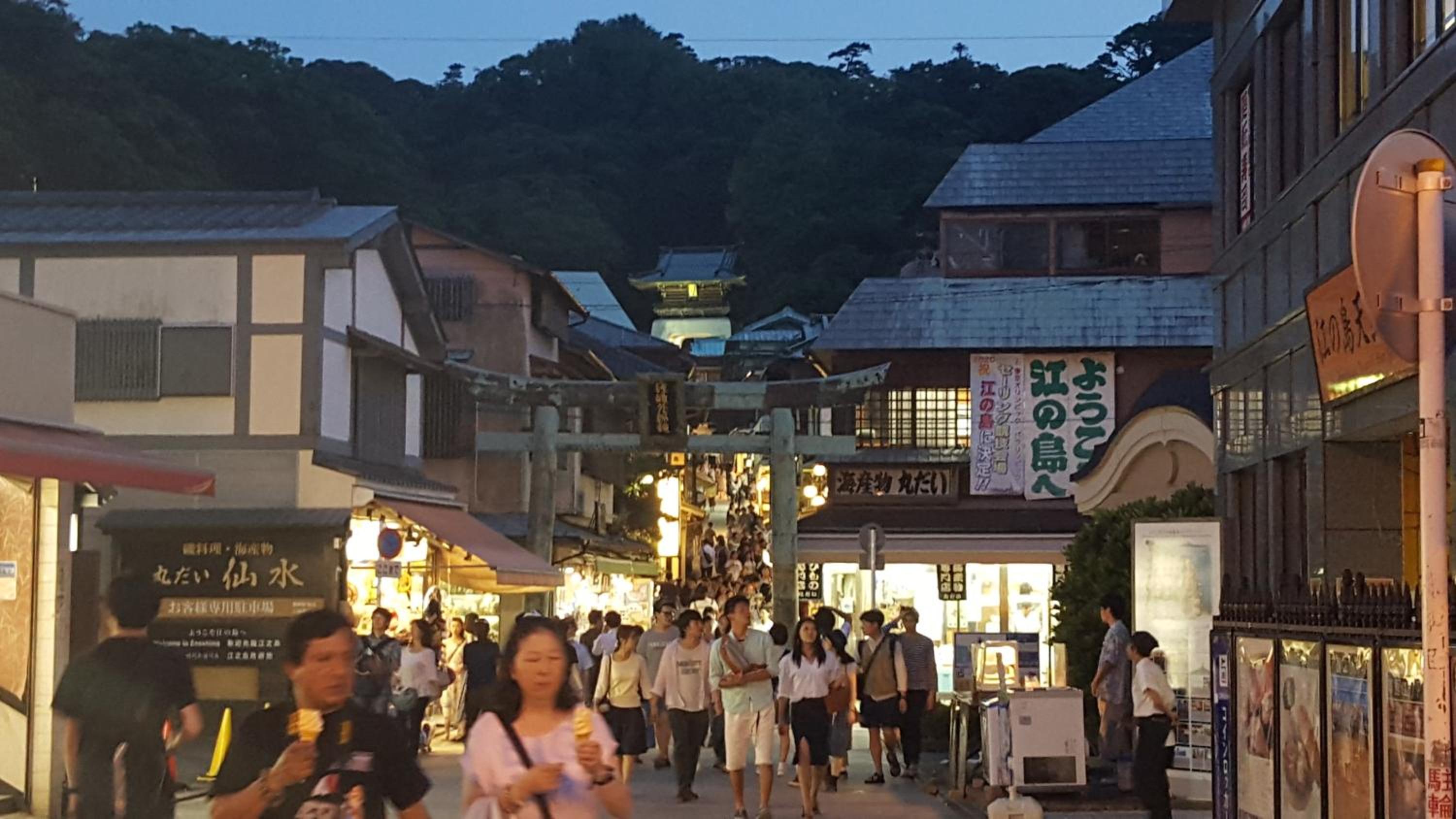 Enoshima Guest House 134