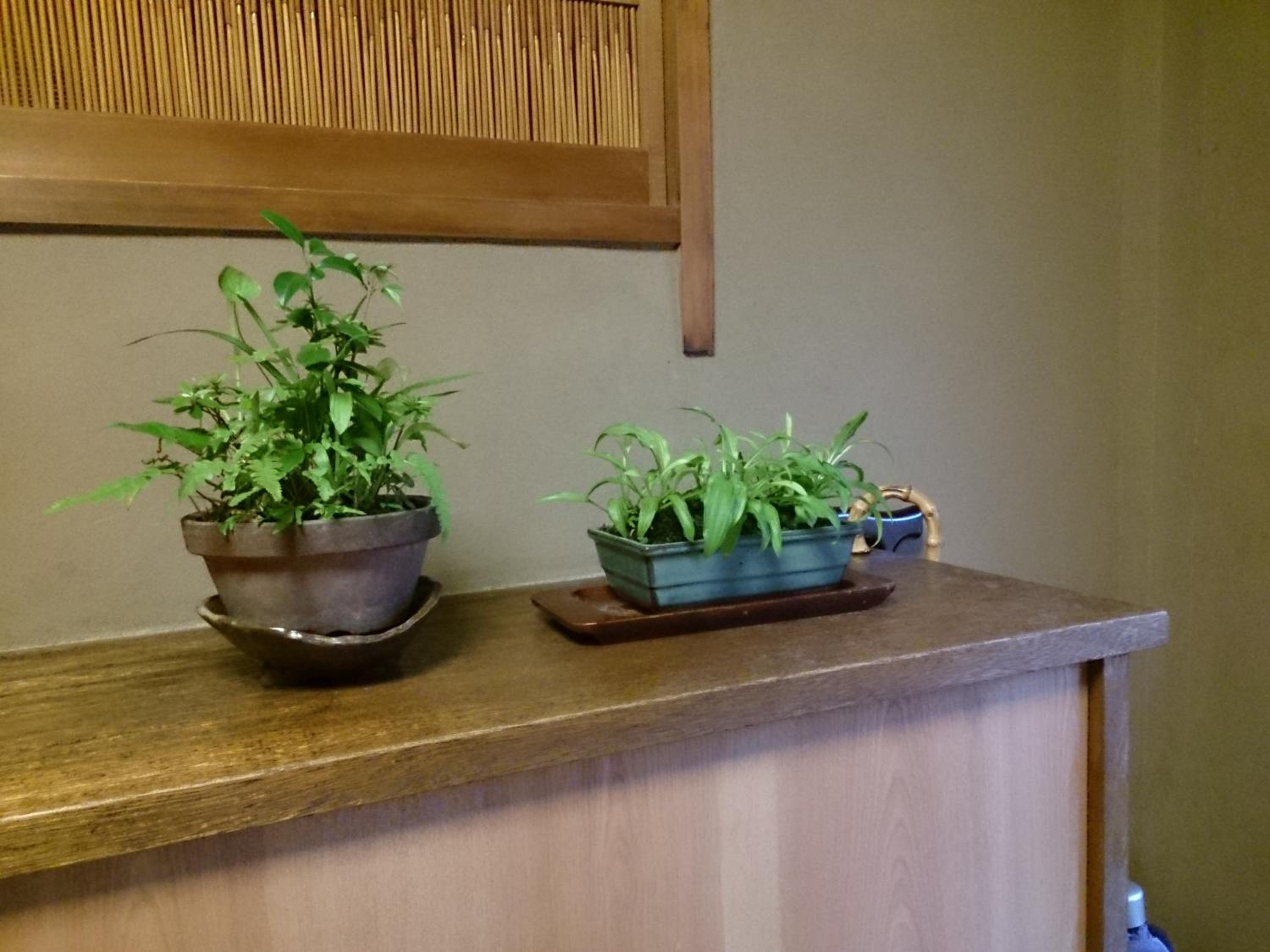 Ryokan Nakajimaya