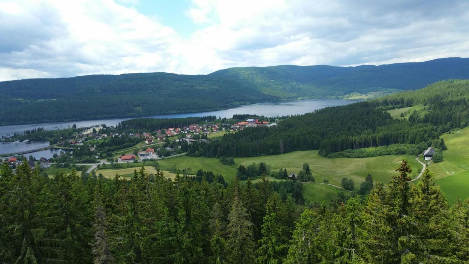 Photo 23