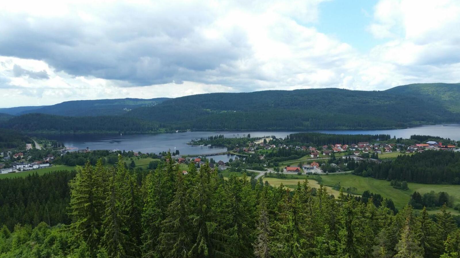 Photo 25