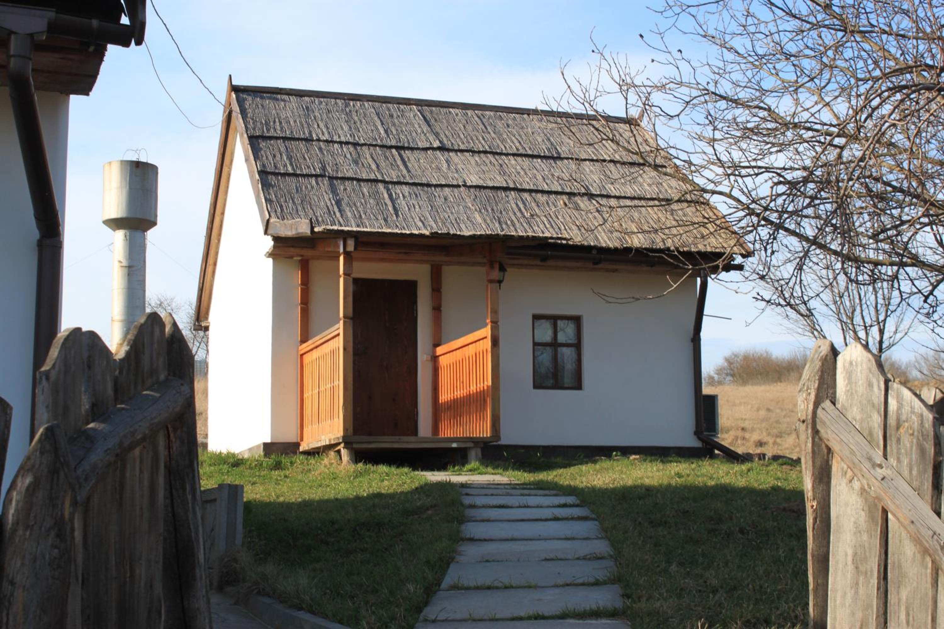 Photo 41