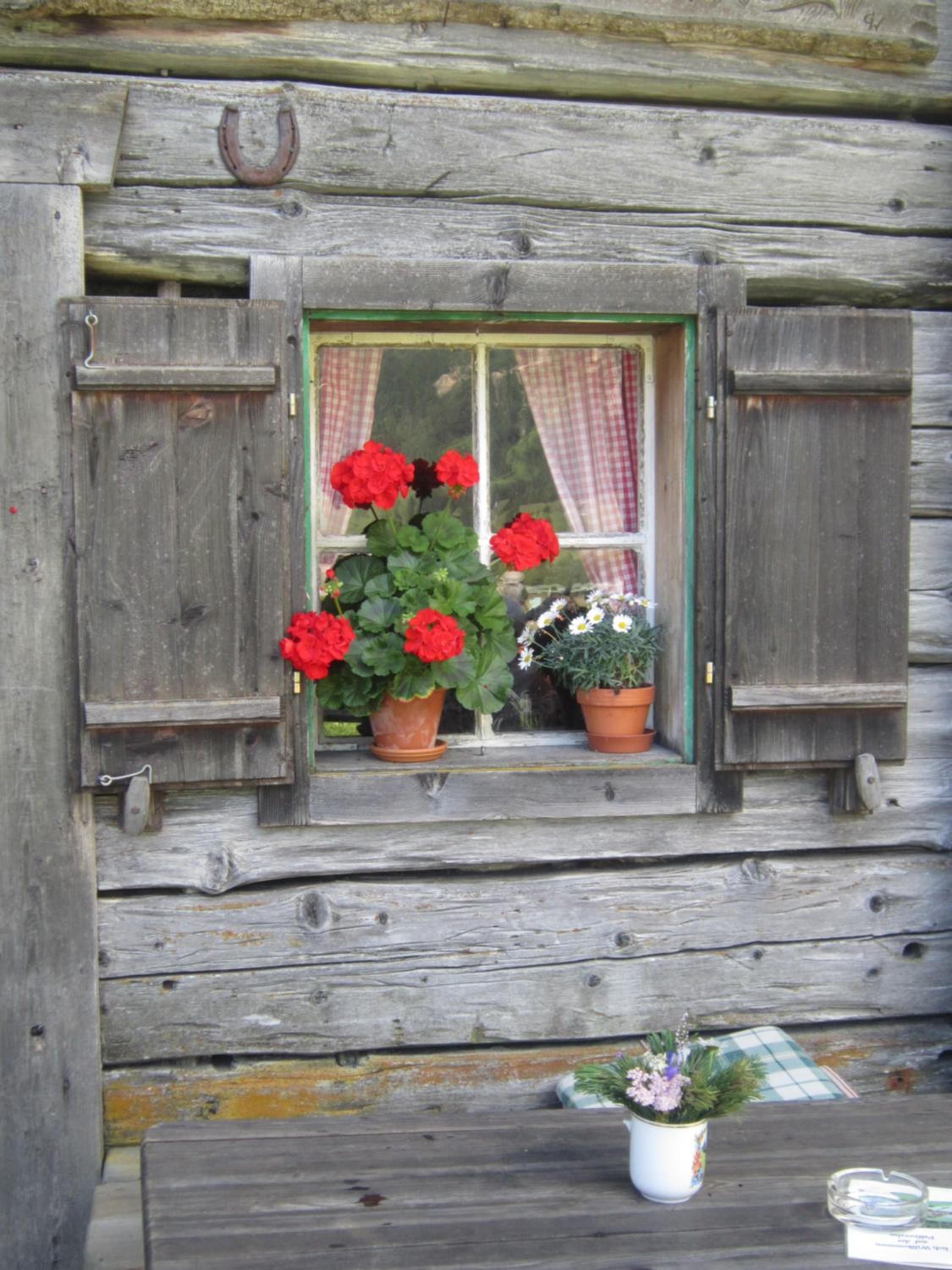 Appartement Anneke
