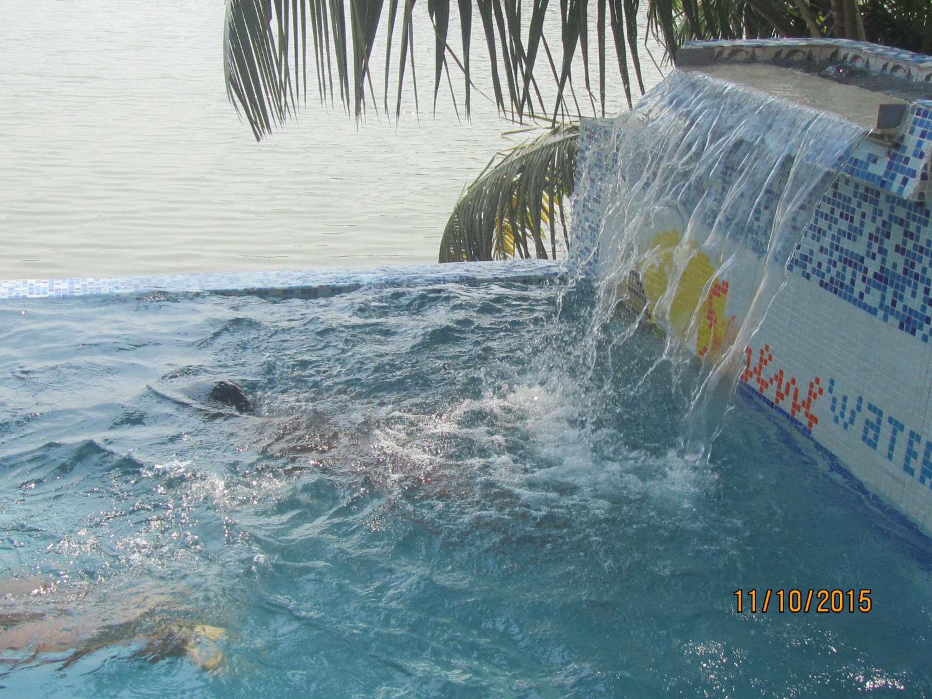 Photo 46