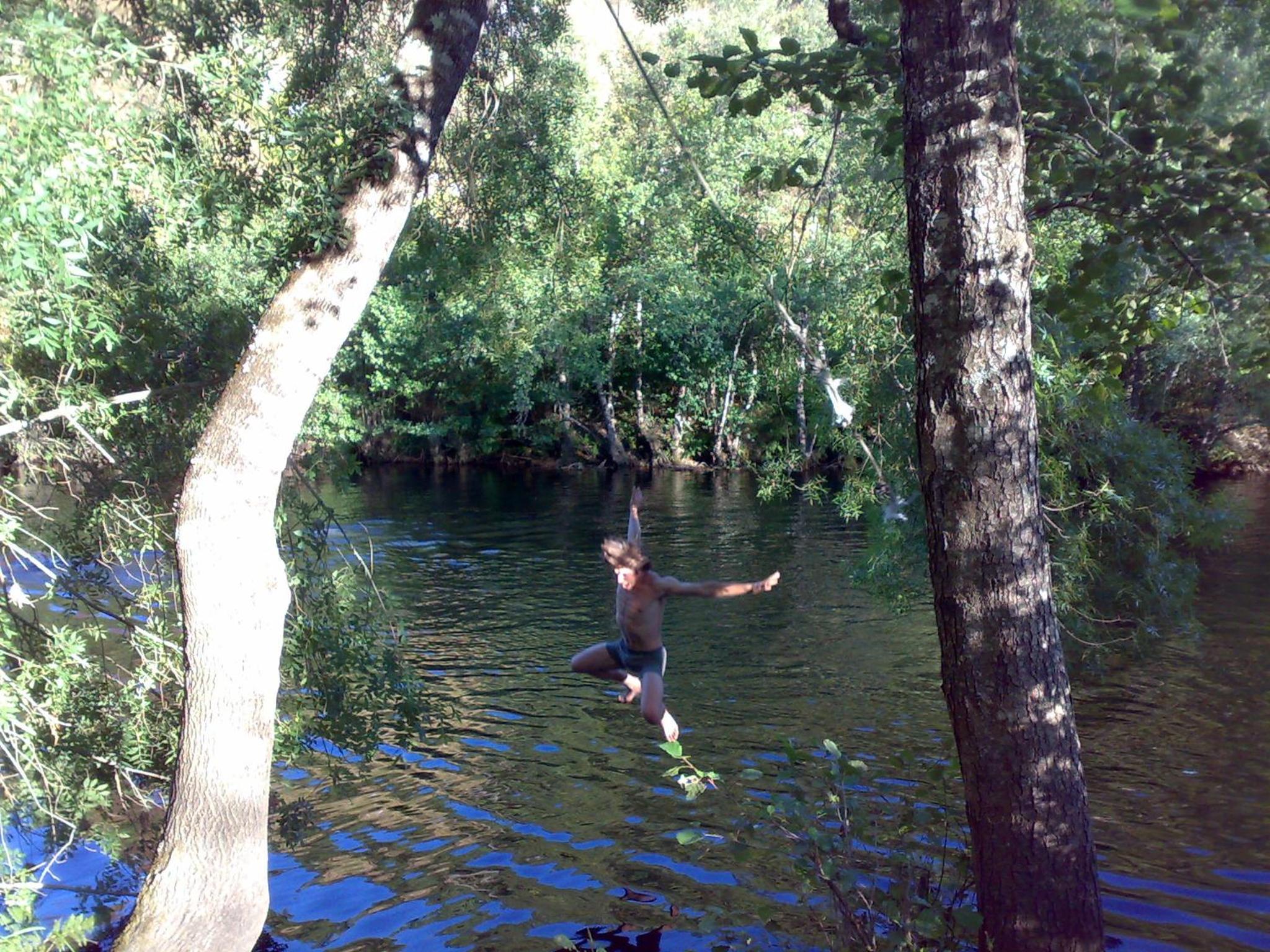 Photo 40