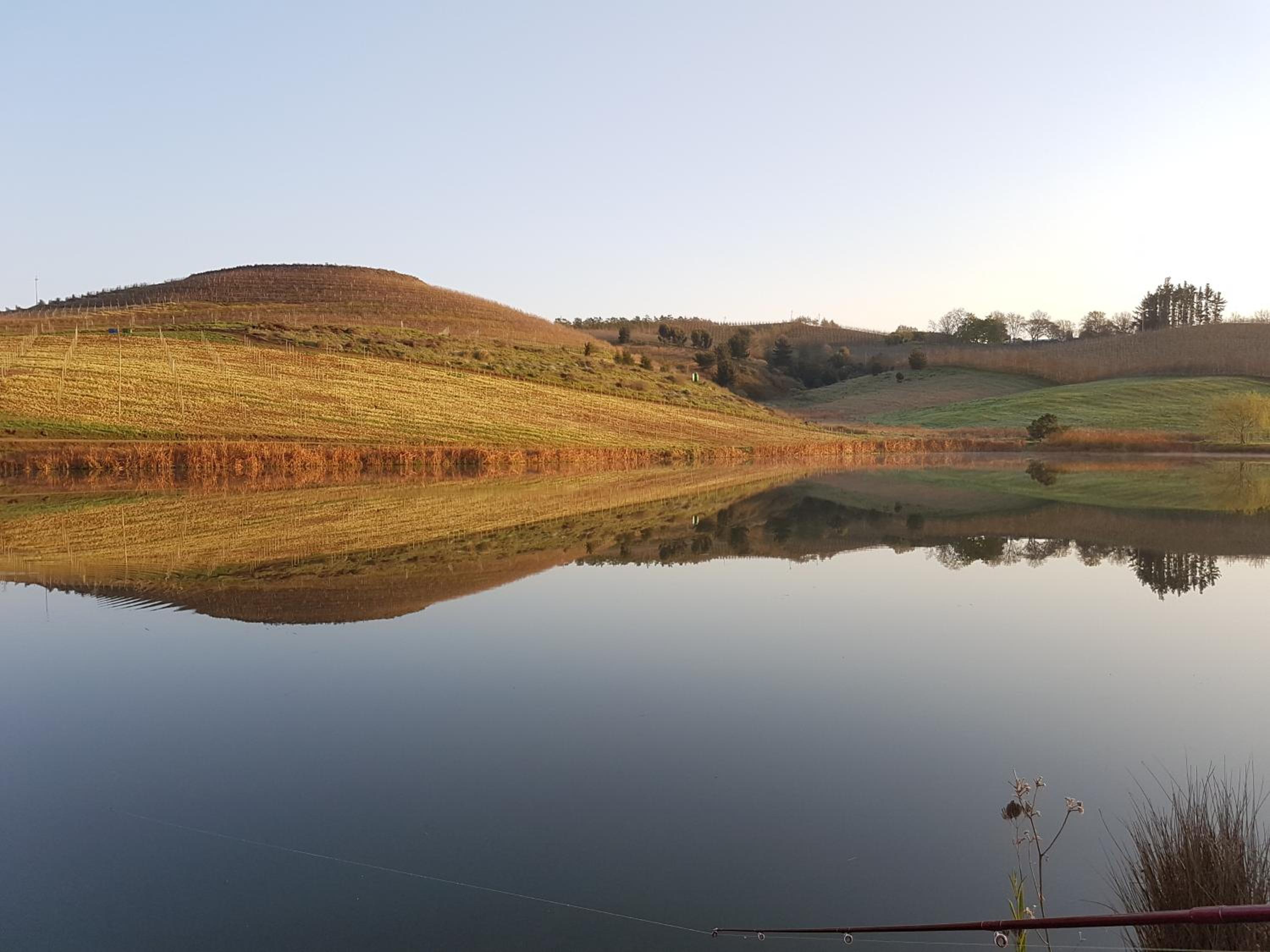 Paul Wallace Wines & Cottages