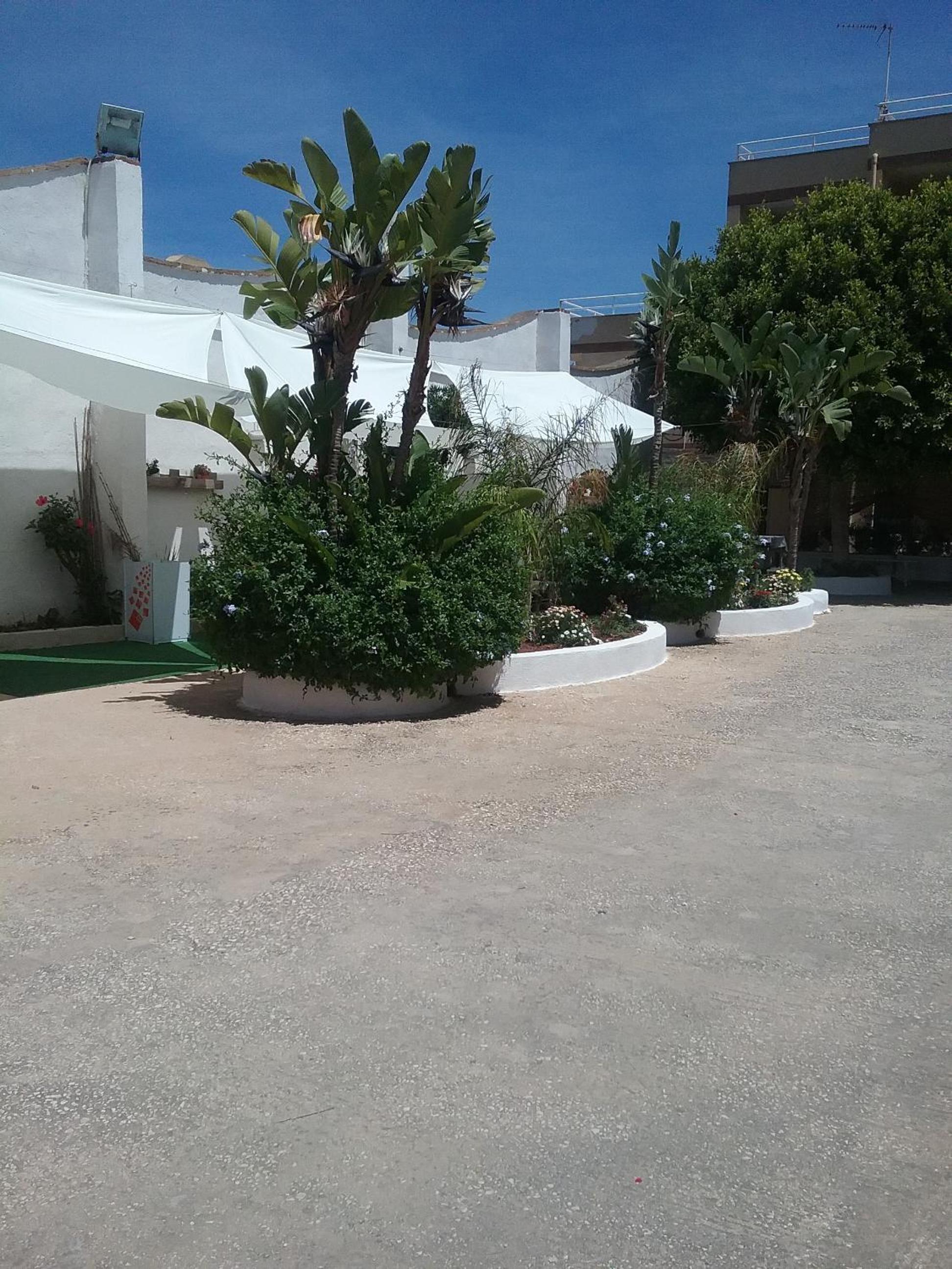 Photo 44