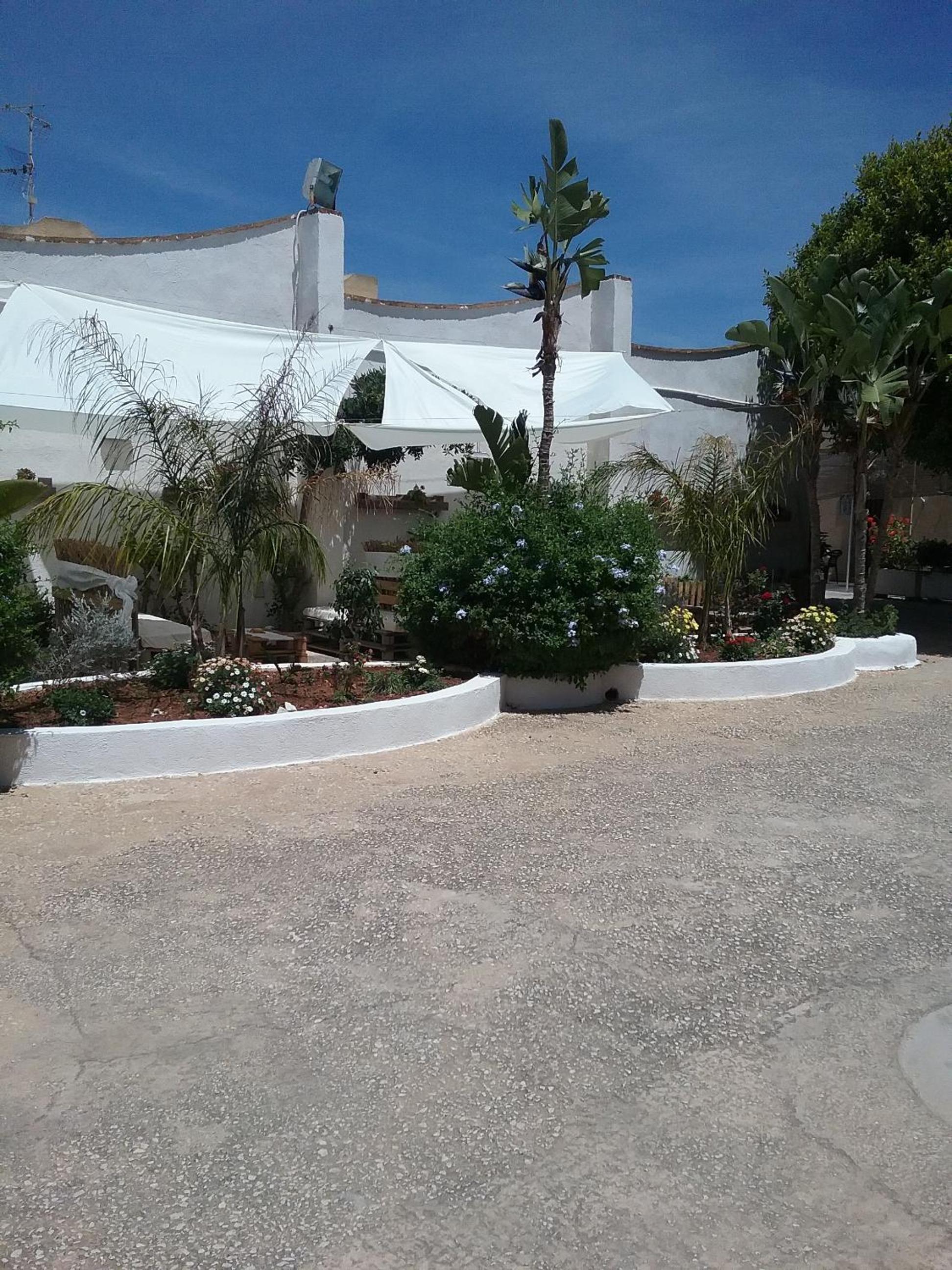 Photo 46