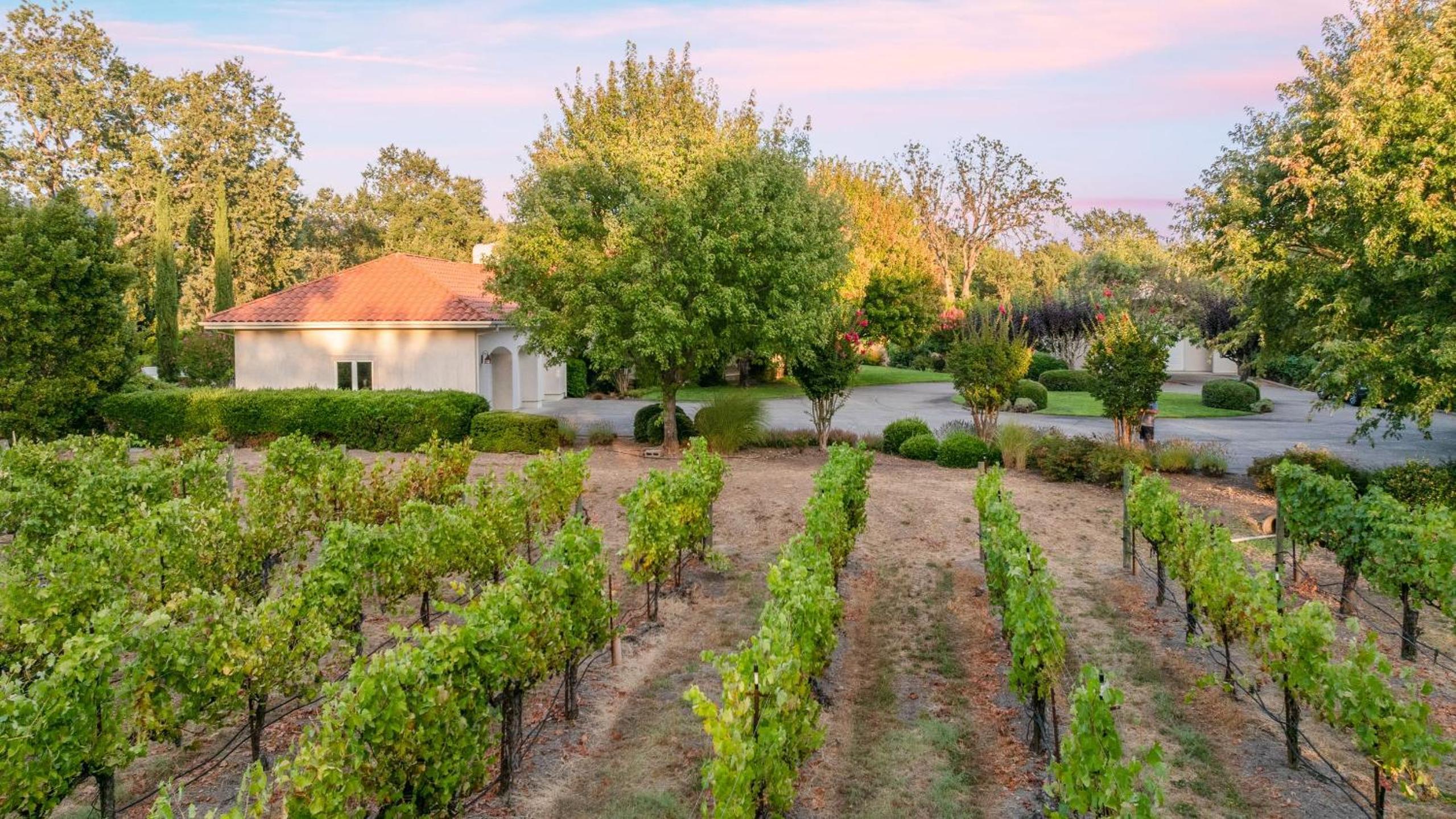 Vineyard Estate w Pool Spa Bocce Ball Mins to Wineries Park Lawndale Manor by AvantStay