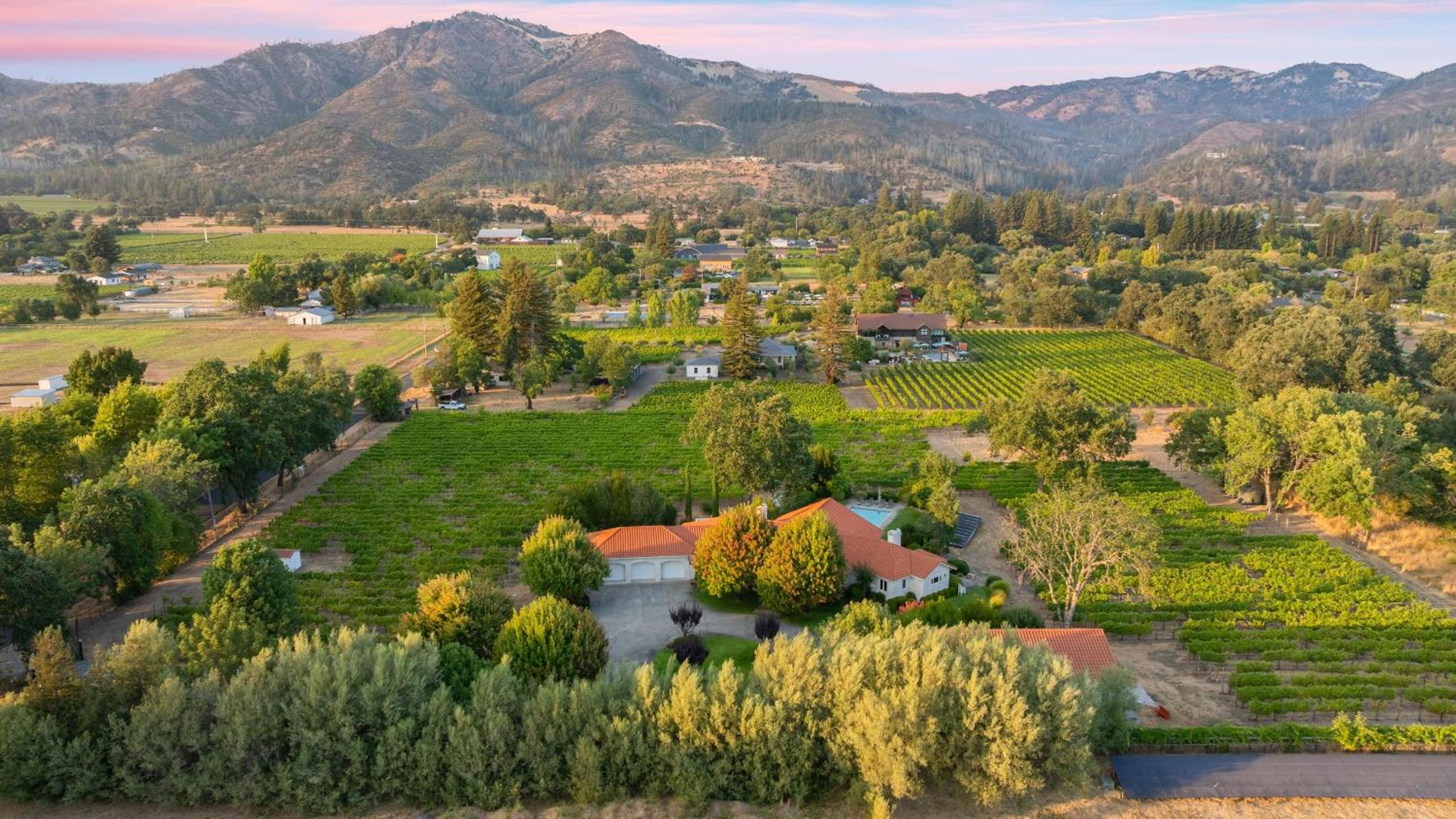 Vineyard Estate w Pool Spa Bocce Ball Mins to Wineries Park Lawndale Manor by AvantStay