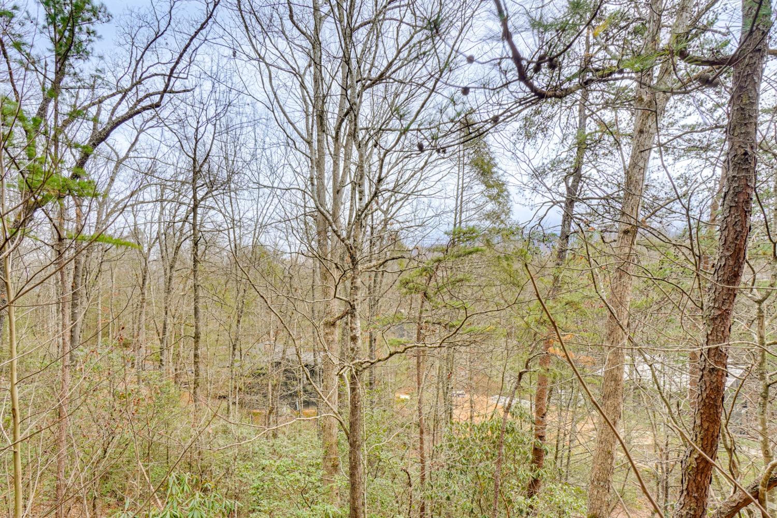 6 Mi to Great Smoky Mtn Natl Park! Home with Views