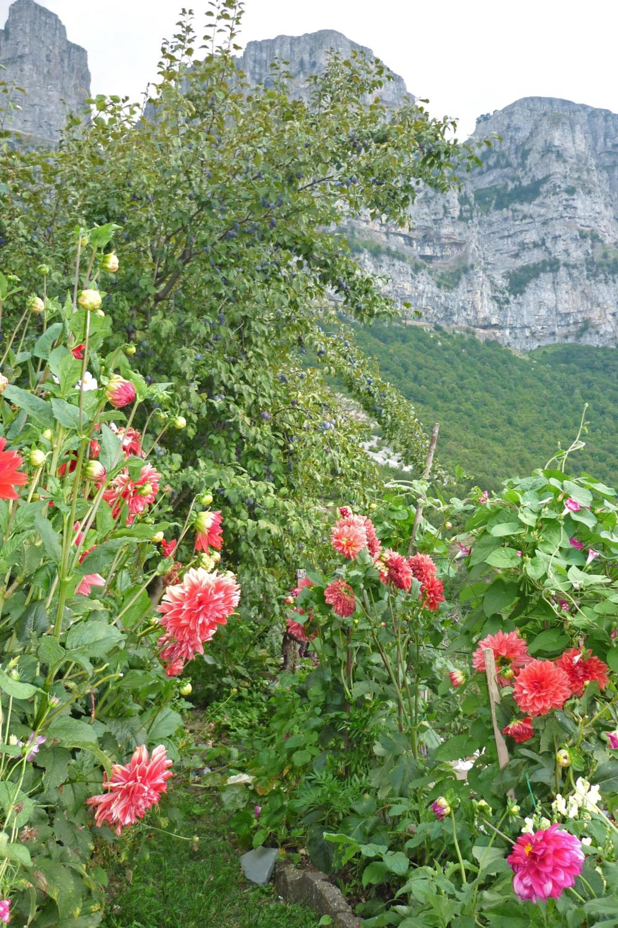 Photo 42