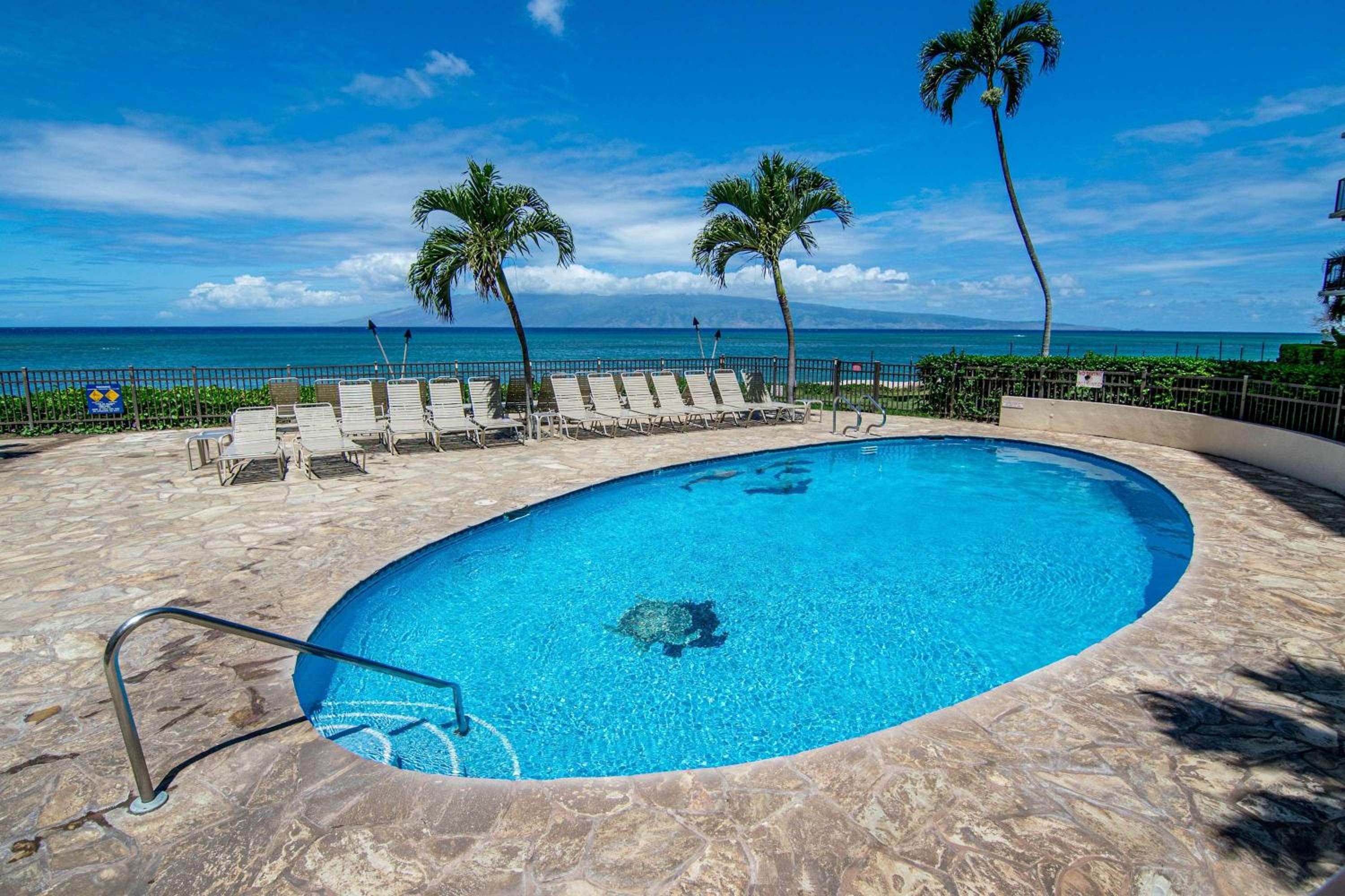 2 Kings Top Floor Oceanfront Big Lanai Views from the Top
